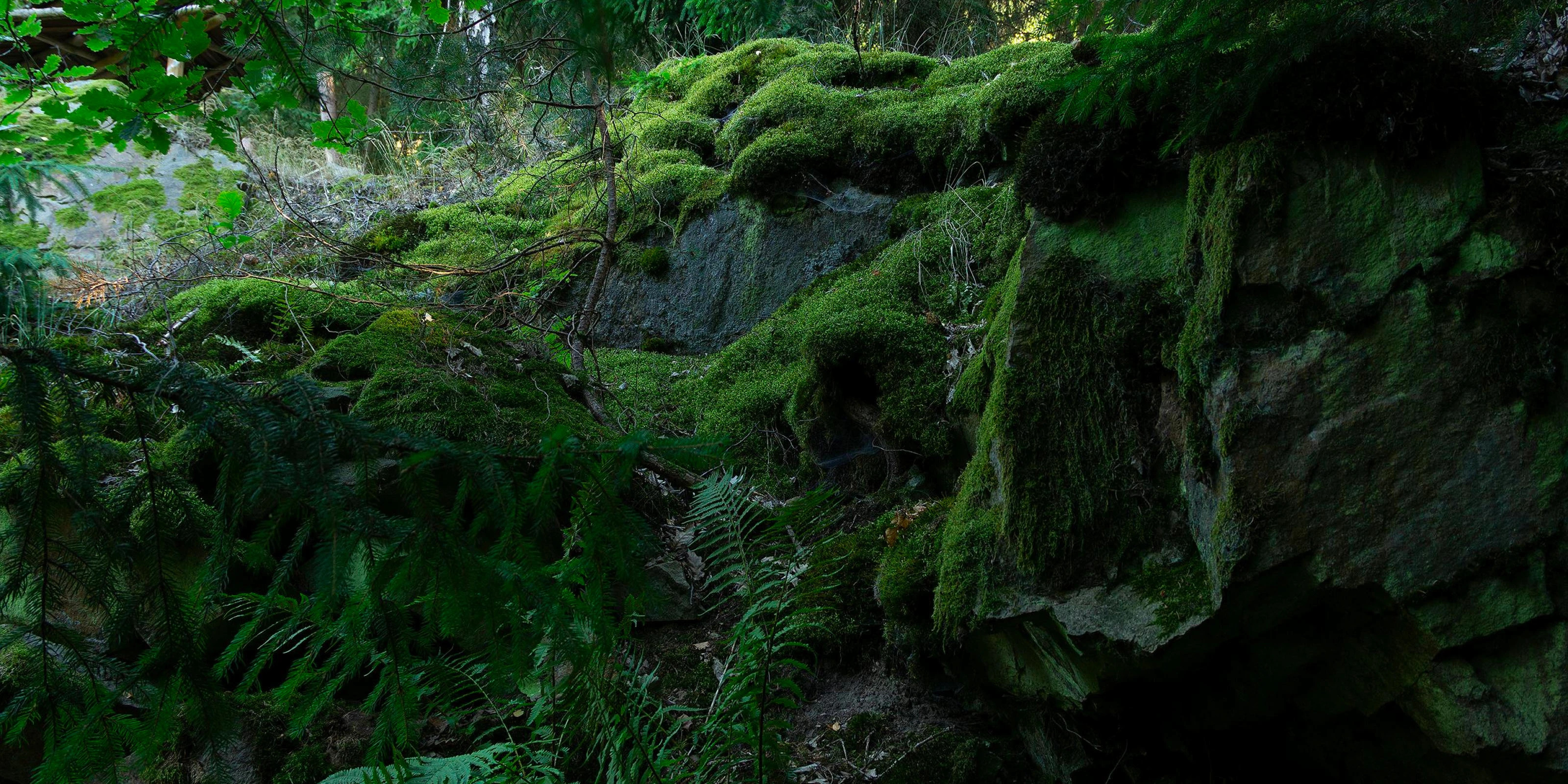 Сайт СПА-центра IVA SPA | SPA-процедуры | СПА-ритуалы — Изображение №7 — Интерфейсы на Dprofile