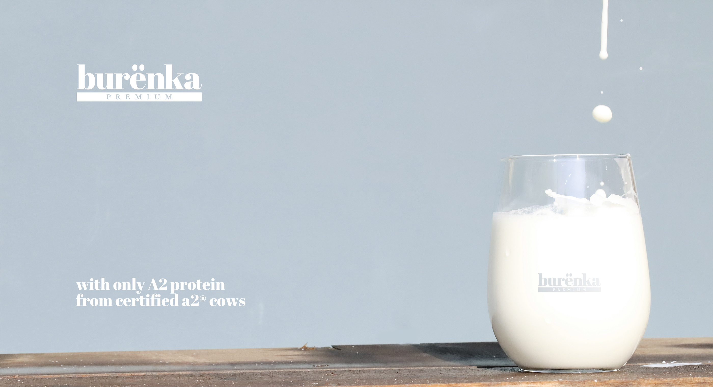 Burёnka Premium Milk | Logo & Packaging Design — Изображение №10 — Брендинг на Dprofile