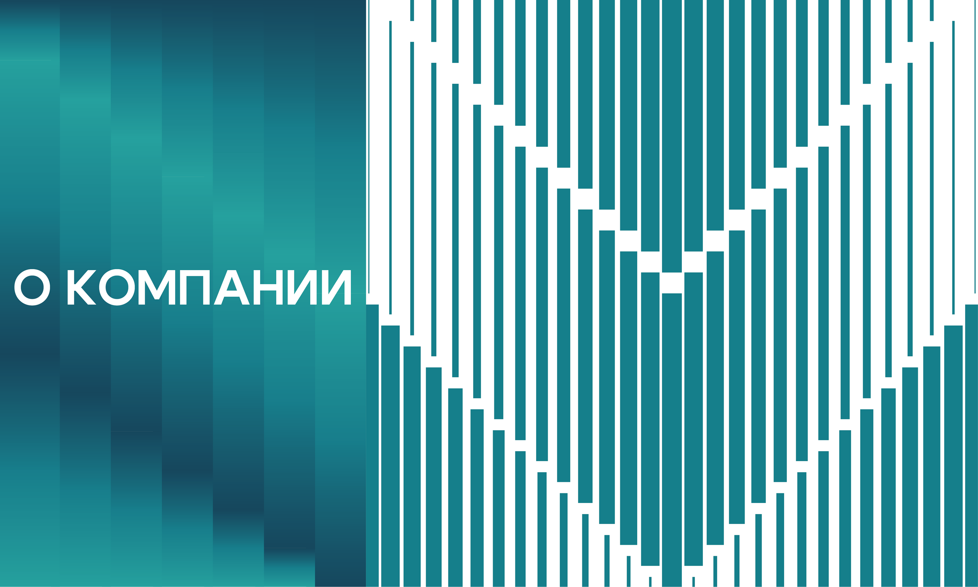 "NORDLIGHT" - Туристическая компания│БРЕНДБУК 2024 — Изображение №3 — Брендинг на Dprofile