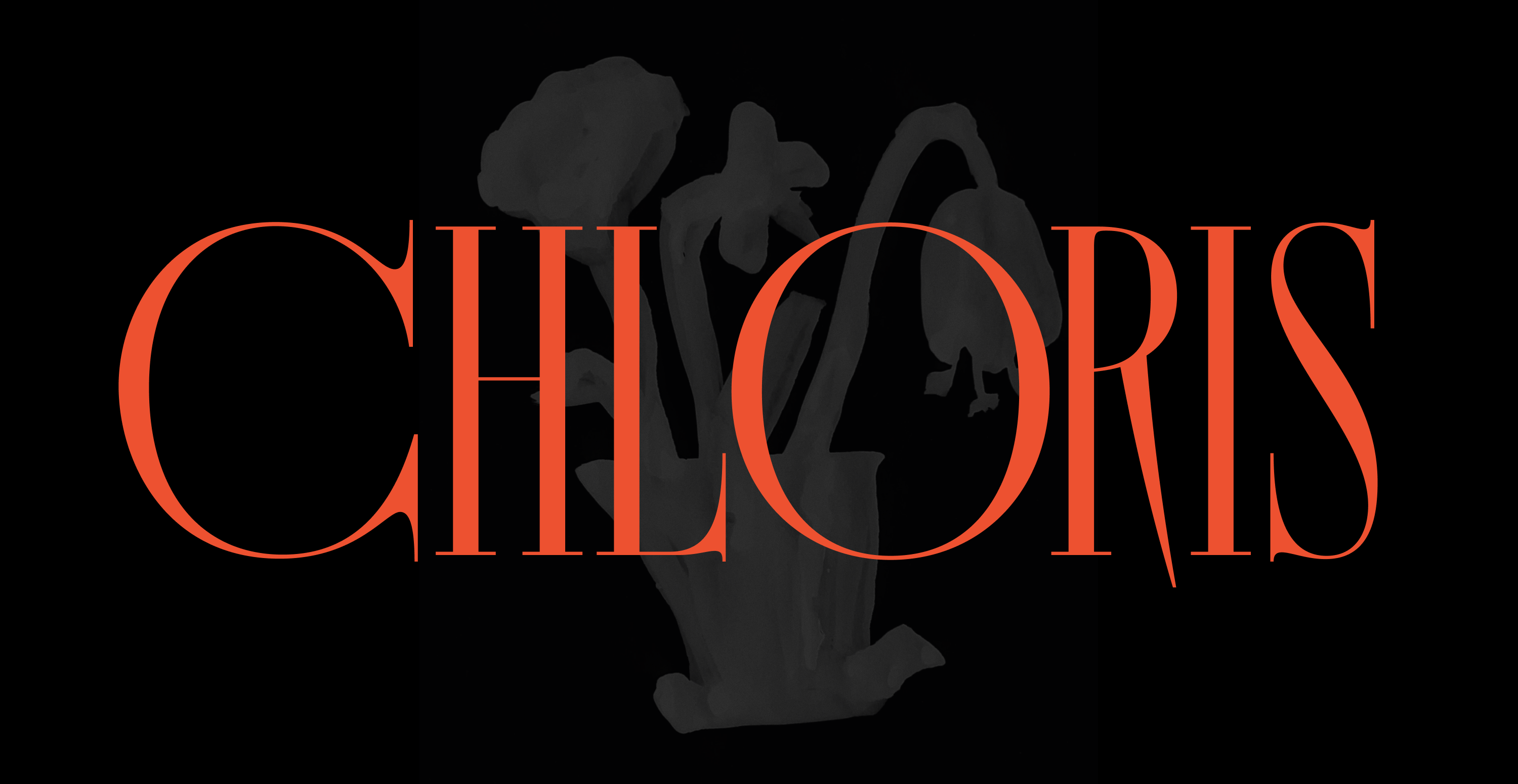 Chloris, шрифт — Изображение №1 — Графика на Dprofile