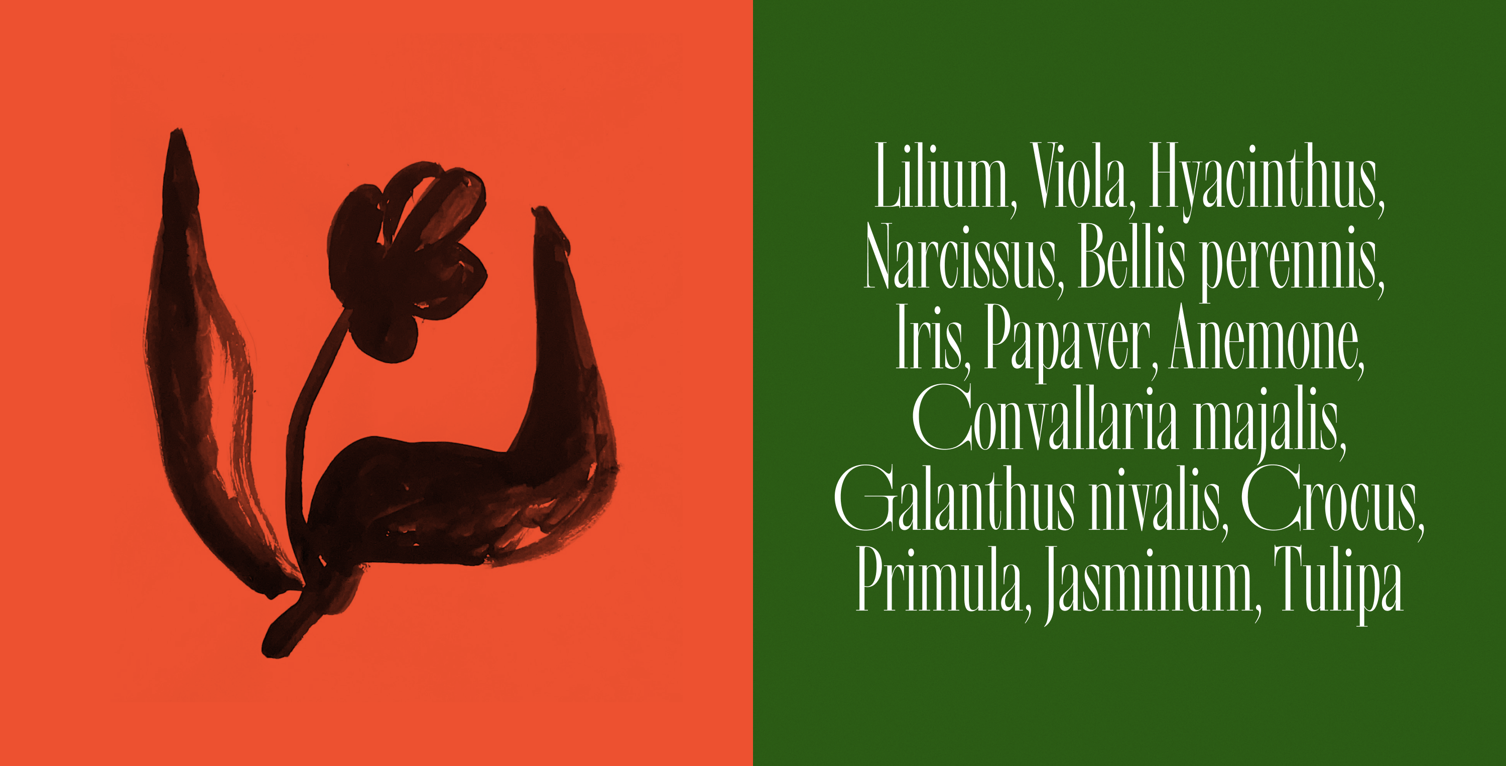 Chloris, шрифт — Изображение №7 — Графика на Dprofile