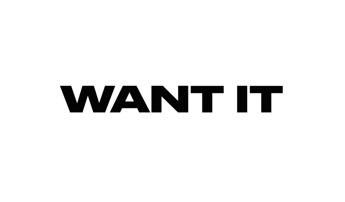 Брендинг онлайн маркетплейса «WANT IT» — Изображение №2 — Брендинг, Графика на Dprofile
