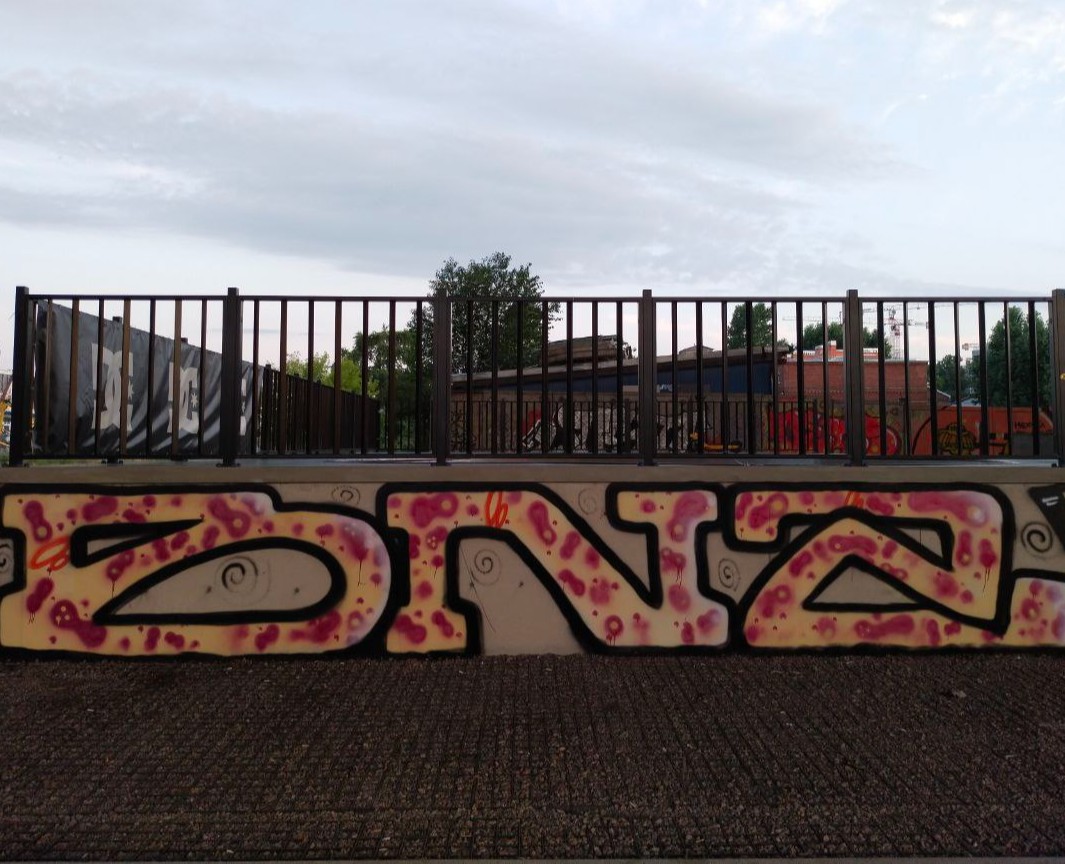 Граффити BNZ на скейт-парке в Санкт-Петербурге — Иллюстрация, Графика на Dprofile
