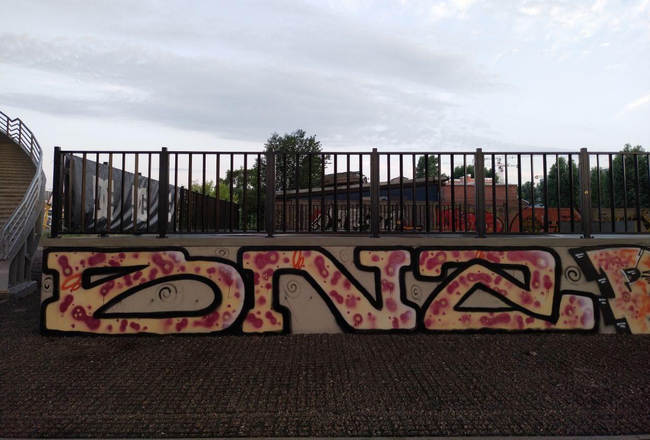 Граффити BNZ на скейт-парке в Санкт-Петербурге — Изображение №1 — Иллюстрация, Графика на Dprofile
