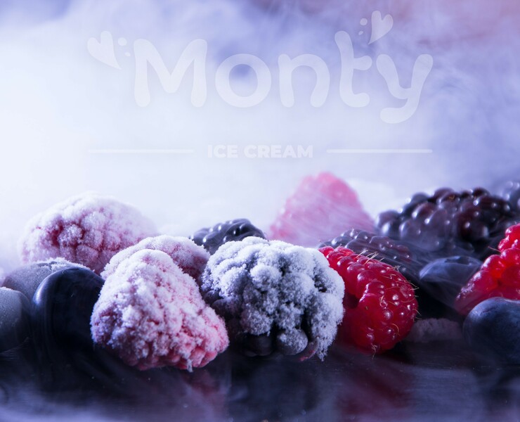Monty logo and corporate identity — Брендинг, Графика на Dprofile