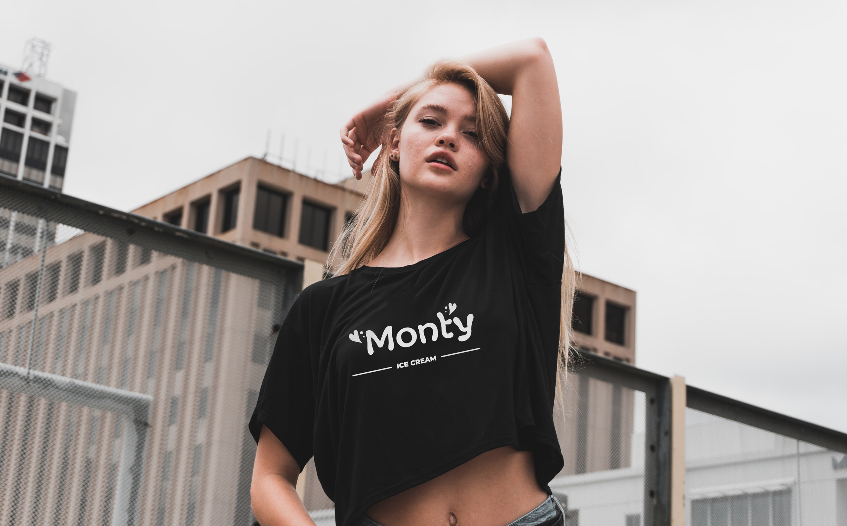 Monty logo and corporate identity — Изображение №5 — Брендинг, Графика на Dprofile