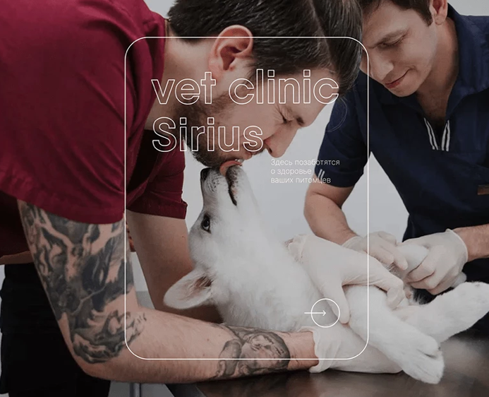 Website for a veterinary clinic — Интерфейсы на Dprofile
