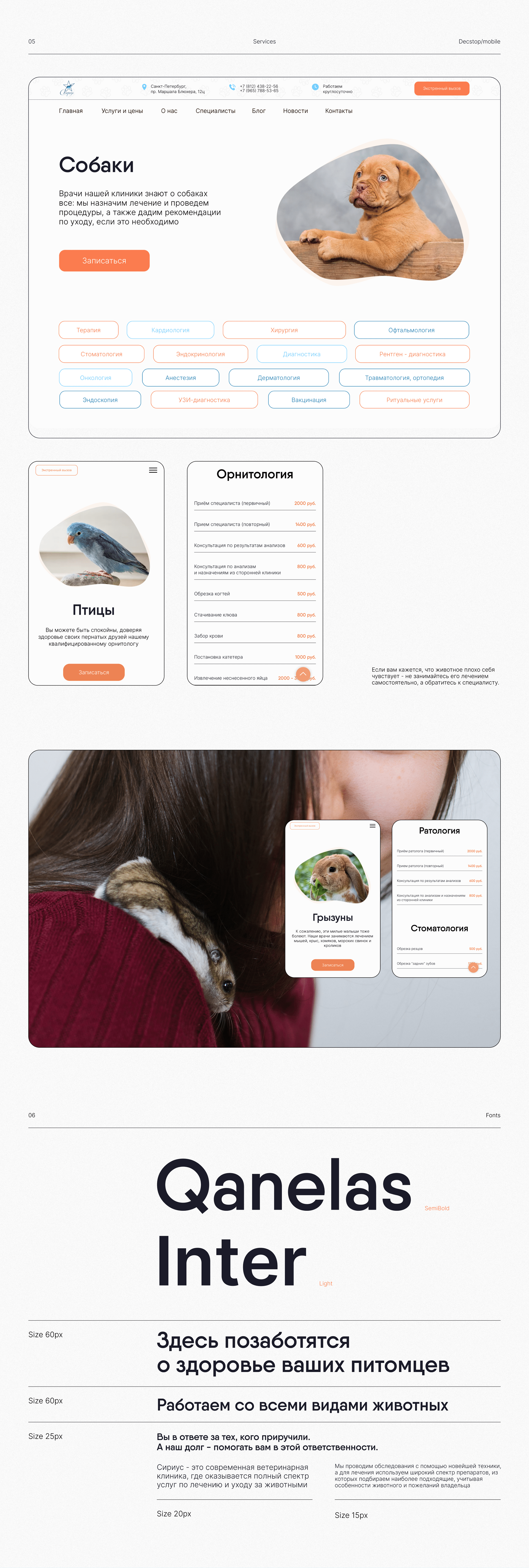 Website for a veterinary clinic — Изображение №3 — Интерфейсы на Dprofile