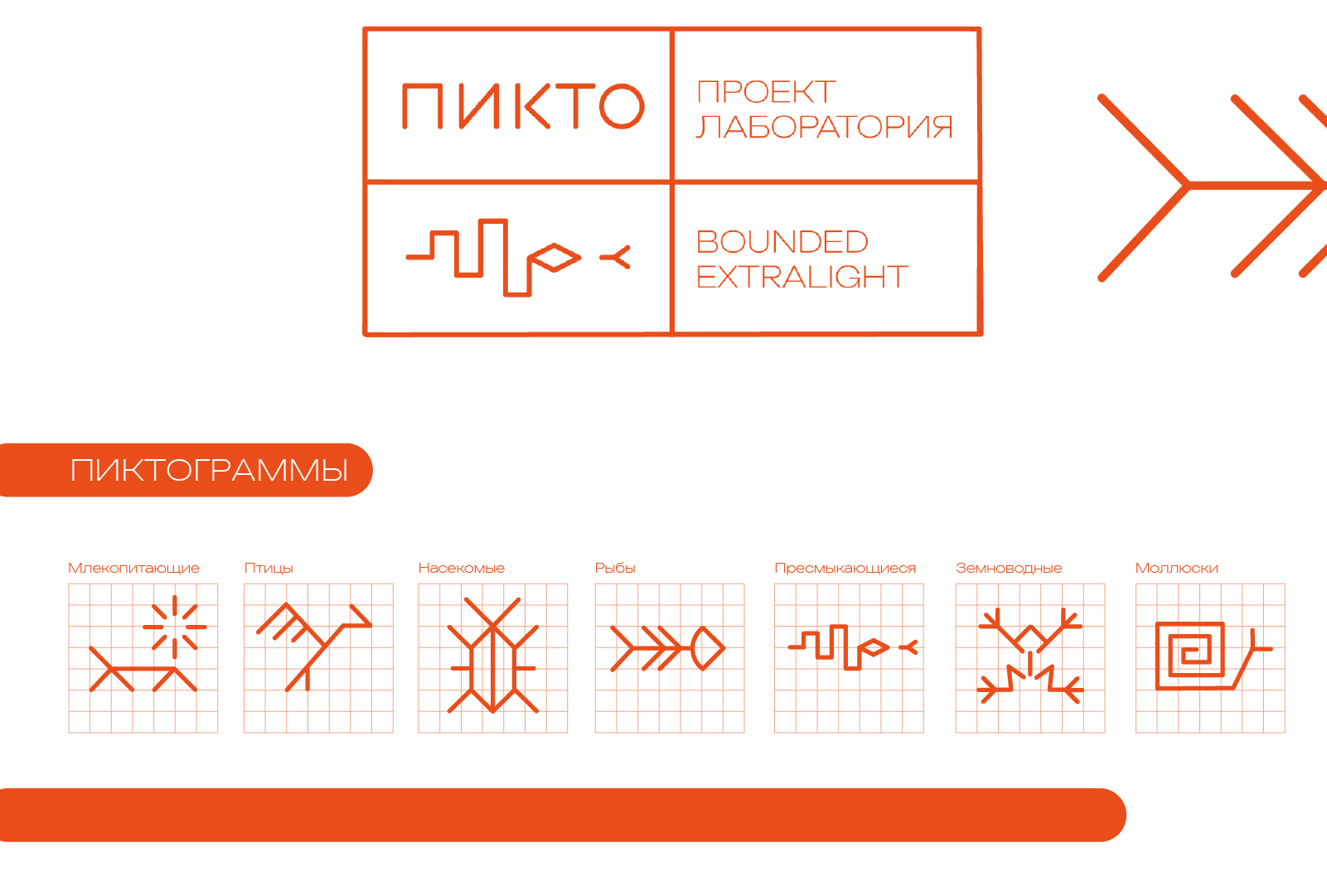 Графический комплекс для выставки "Пиктофауна" — Изображение №5 — Графика на Dprofile