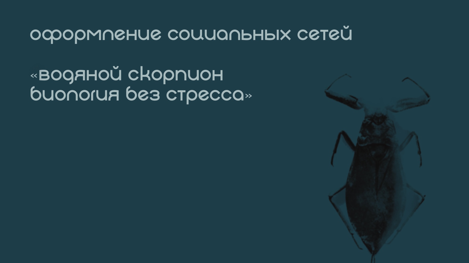 Оформление социальных сетей для репетитора по биологии — Изображение №1 — Графика, Маркетинг на Dprofile