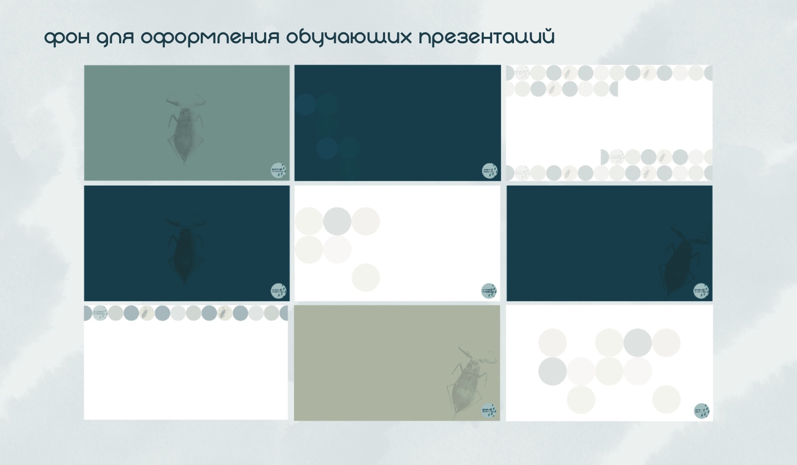 Оформление социальных сетей для репетитора по биологии — Изображение №13 — Графика, Маркетинг на Dprofile