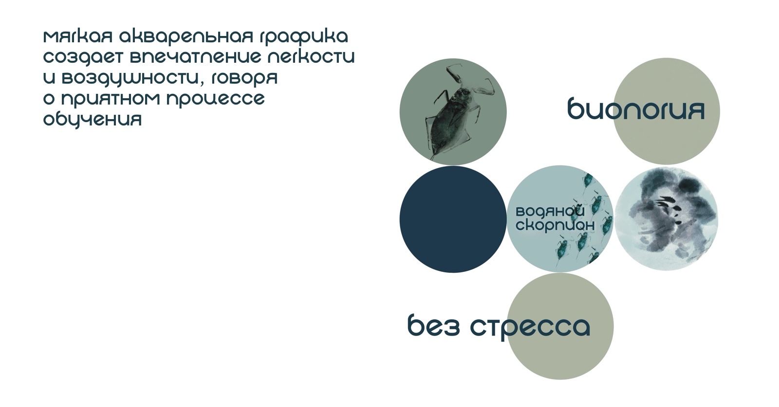 Оформление социальных сетей для репетитора по биологии — Изображение №10 — Графика, Маркетинг на Dprofile