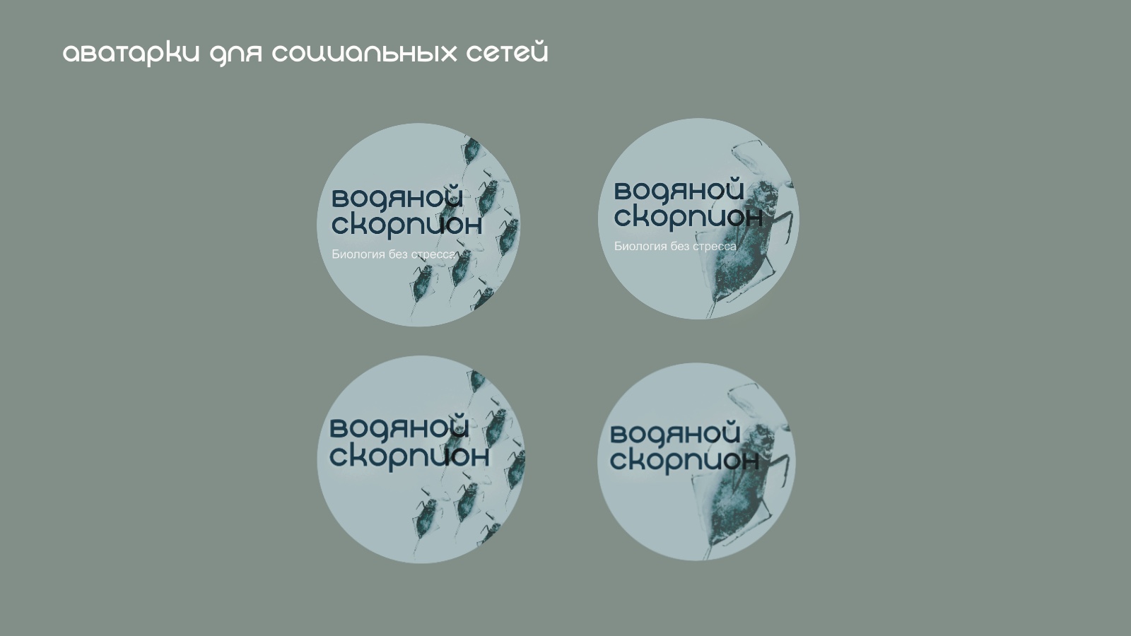 Оформление социальных сетей для репетитора по биологии — Изображение №9 — Графика, Маркетинг на Dprofile
