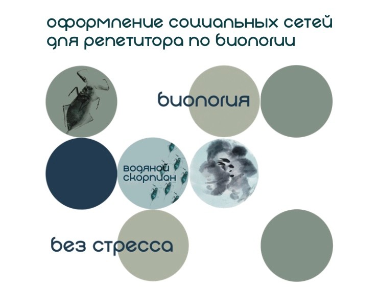 Оформление социальных сетей для репетитора по биологии — Графика, Маркетинг на Dprofile