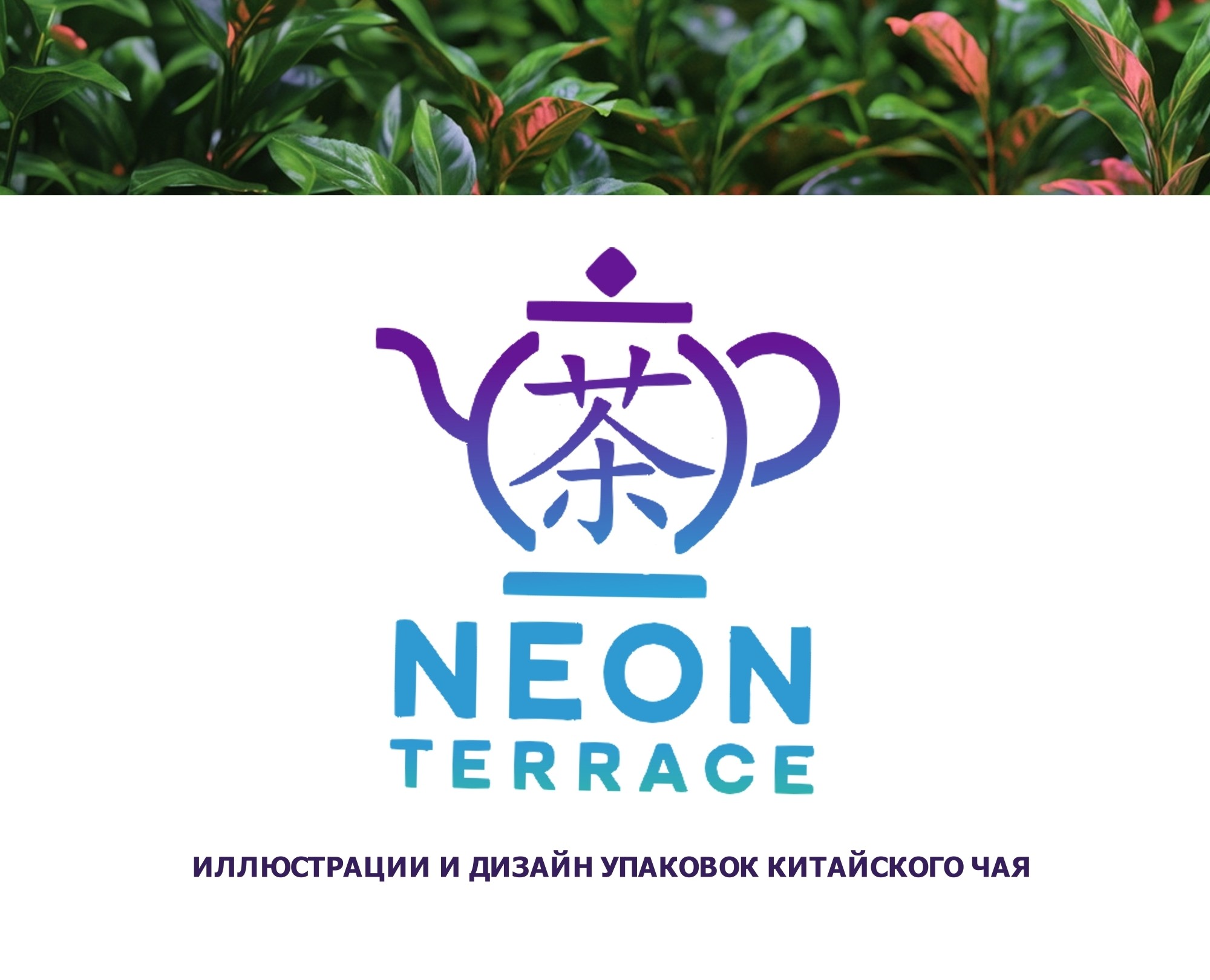 NEON TERRACE иллюстрации и дизайн упаковок — Брендинг на Dprofile