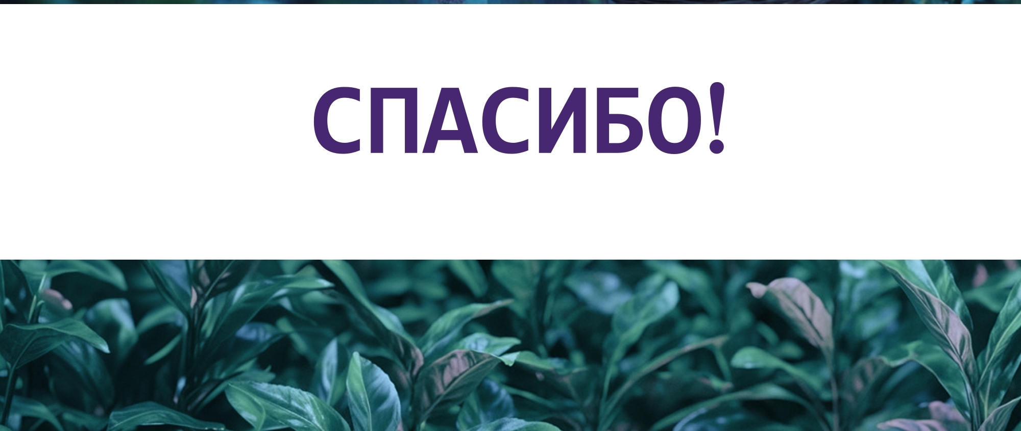NEON TERRACE иллюстрации и дизайн упаковок — Изображение №10 — Брендинг на Dprofile