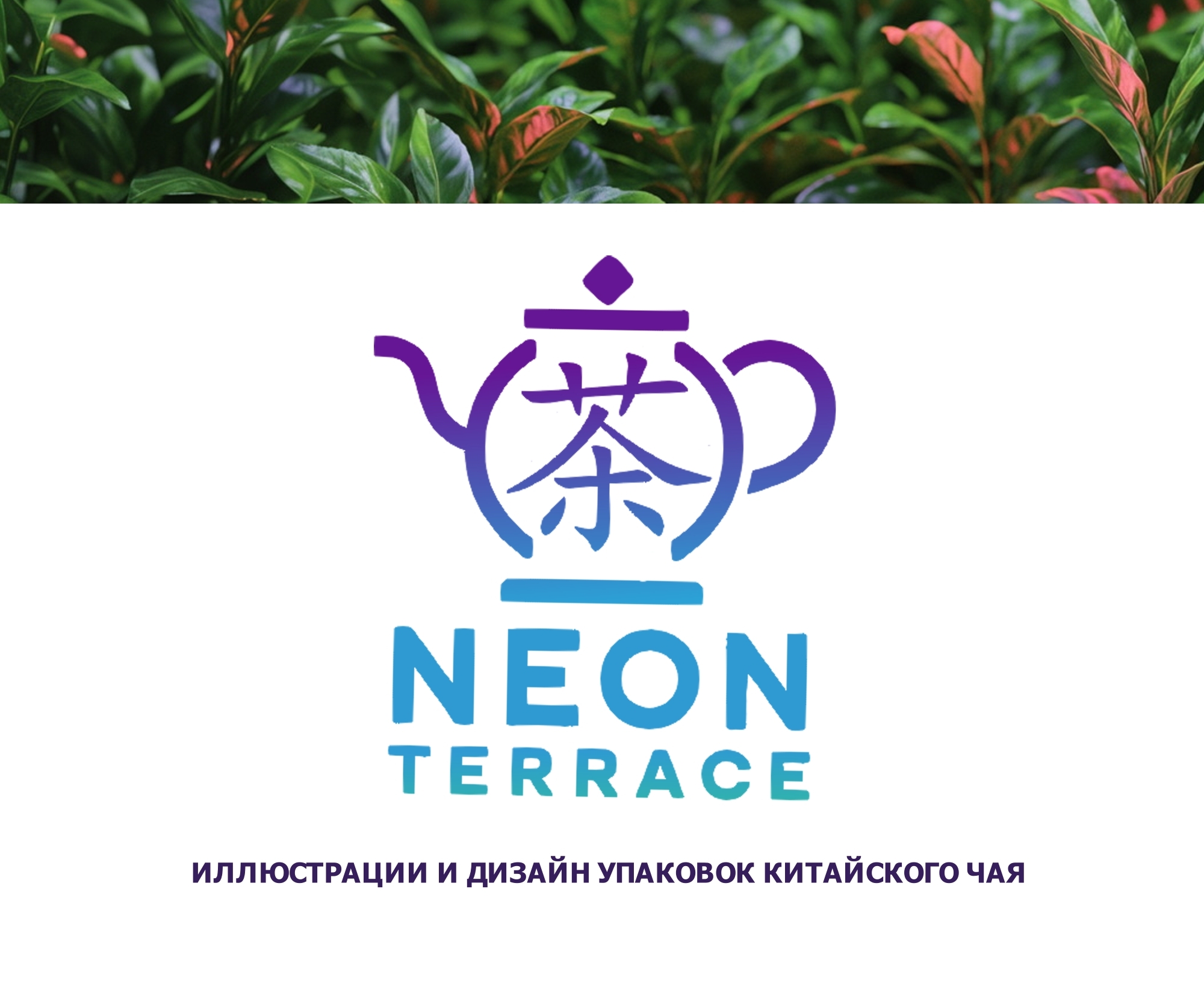 NEON TERRACE иллюстрации и дизайн упаковок — Изображение №1 — Брендинг на Dprofile