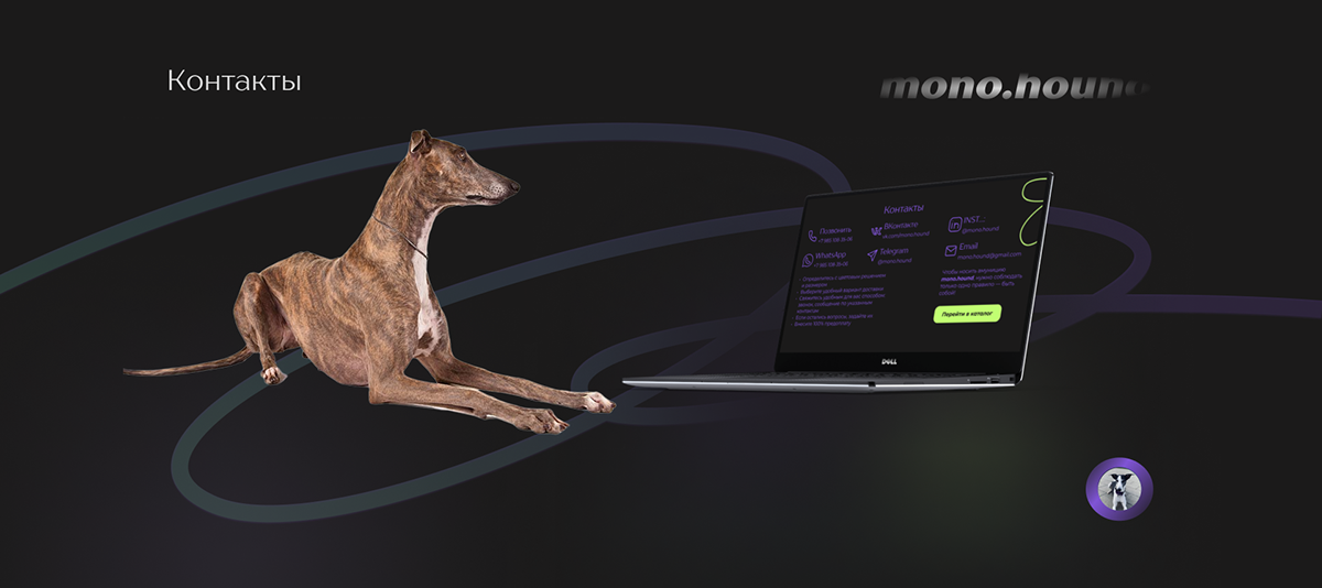 Сайт по продаже амуниции для собак — Изображение №10 — Интерфейсы на Dprofile
