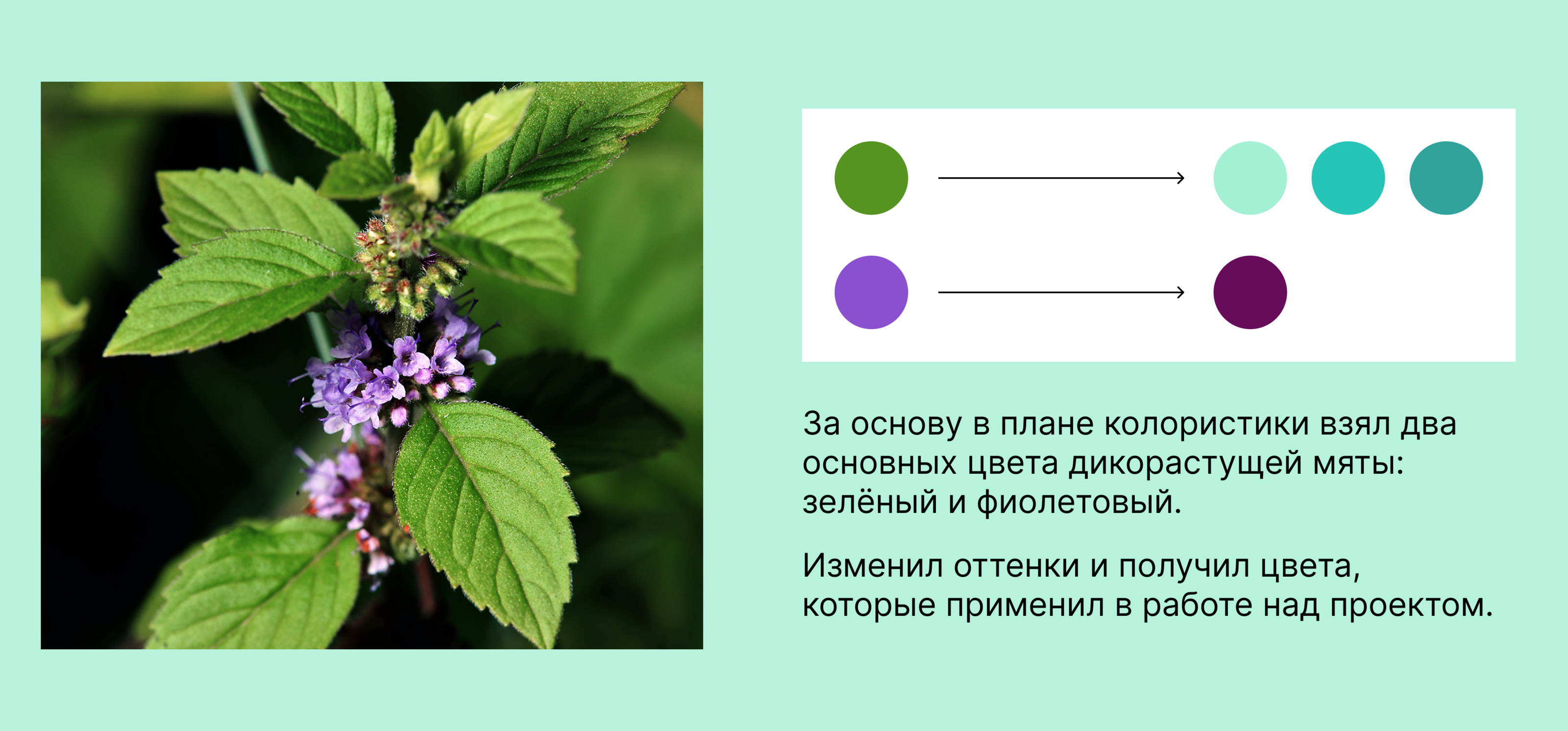 Плакаты POSTER MINT (конкурс) — Изображение №9 — Графика на Dprofile