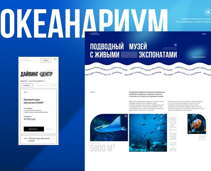 ОКЕАНАРИУМ | website redesign aquarium — Интерфейсы, Брендинг на Dprofile