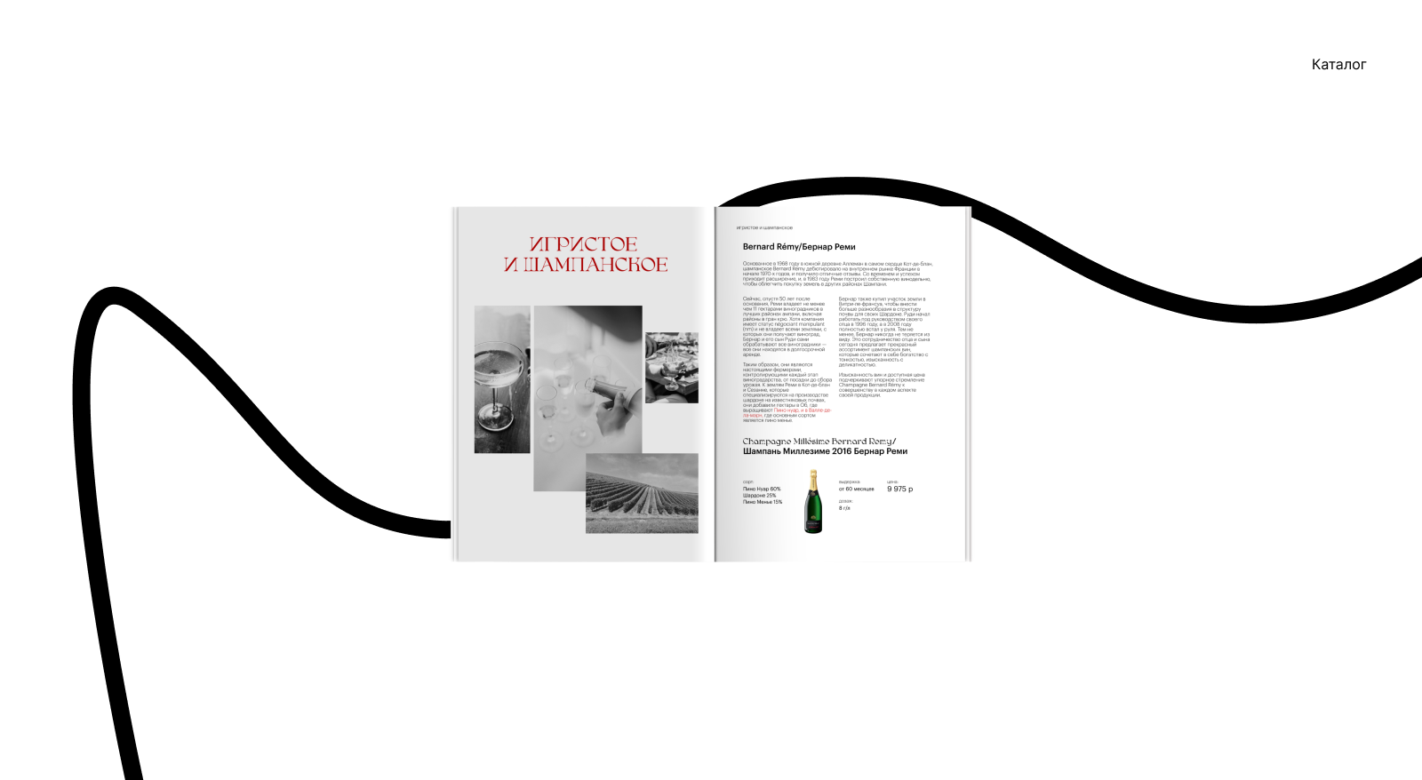 Wine Selection by Ladoga — Изображение №2 — Брендинг на Dprofile