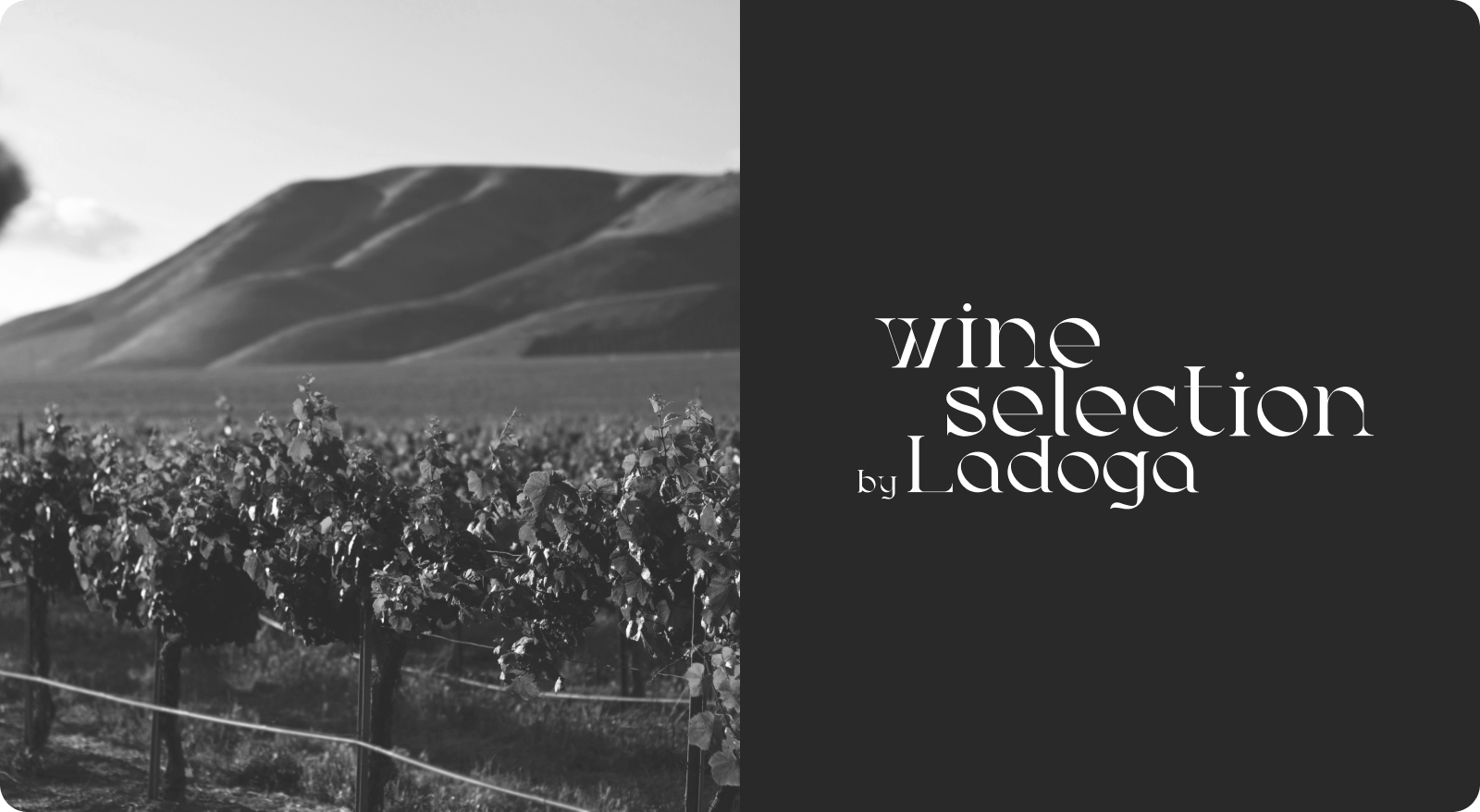 Wine Selection by Ladoga — Изображение №1 — Брендинг на Dprofile