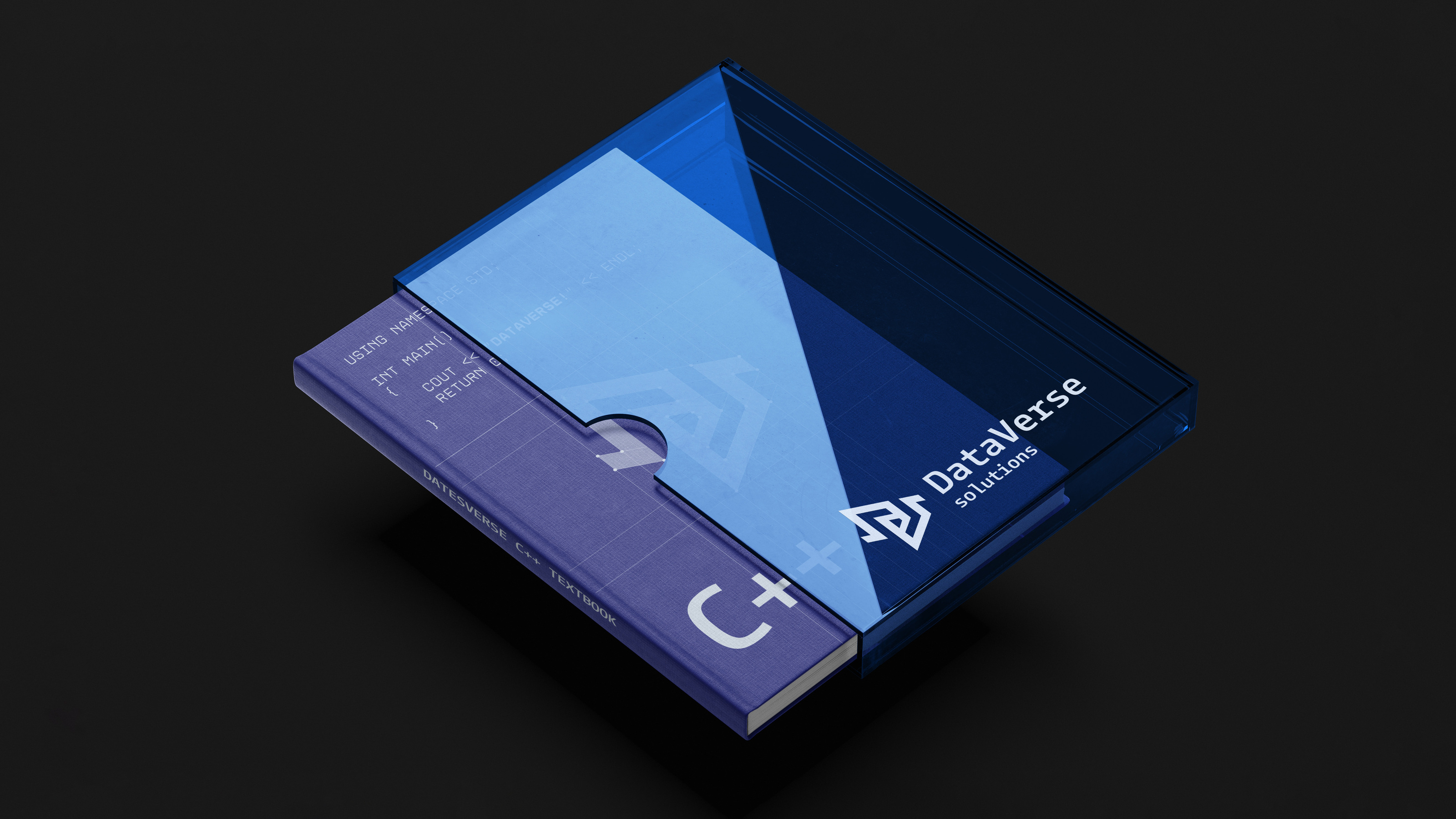 DataVerse Solutions | Brand Design — Изображение №11 — Брендинг на Dprofile