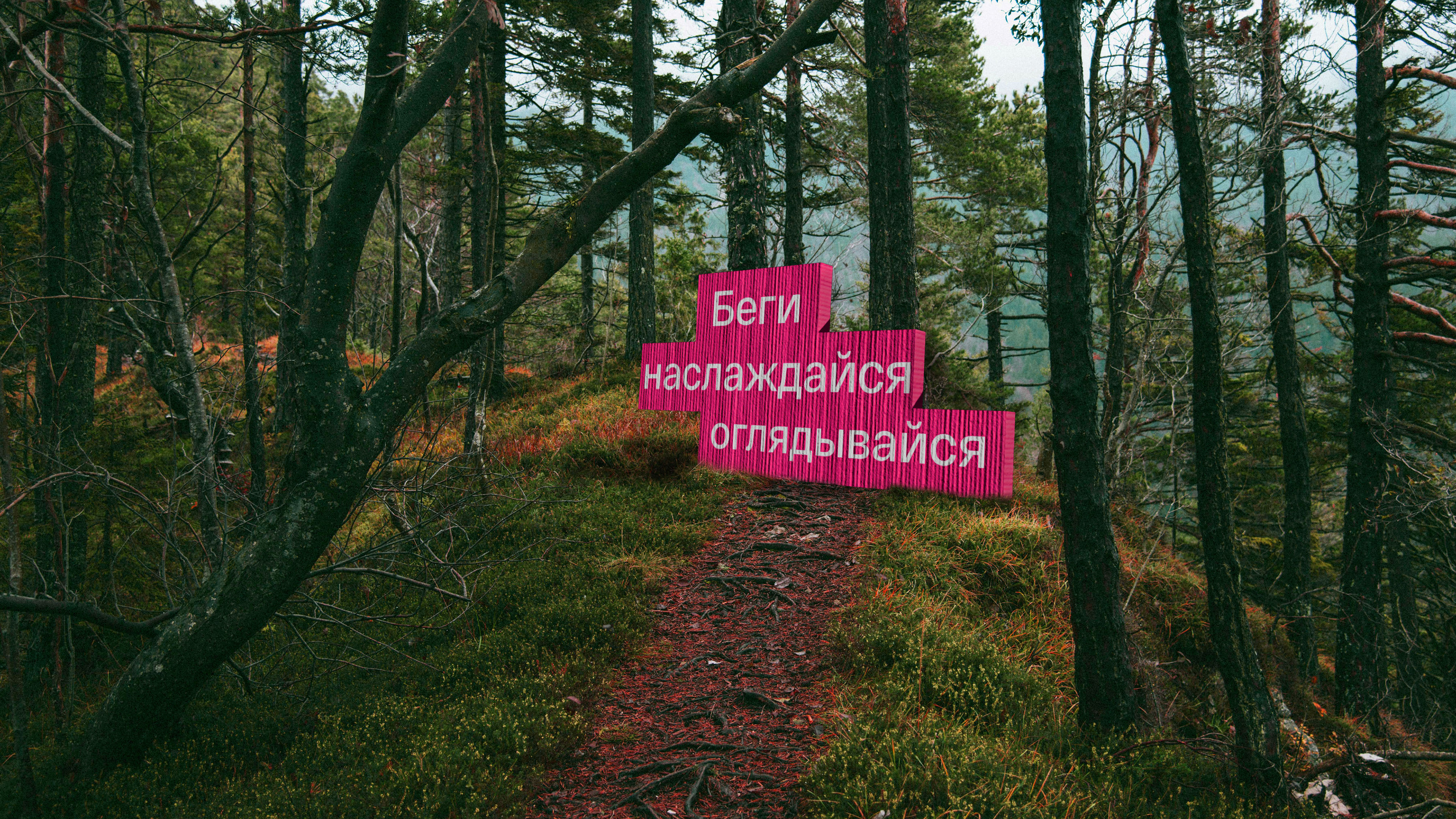 Айдентика фестиваля трейлраннинга — Изображение №15 — Брендинг, Анимация на Dprofile