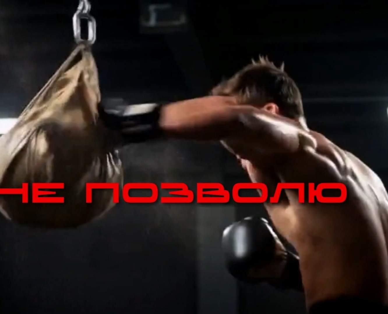 Reels для клуба бокса — Брендинг, Анимация на Dprofile