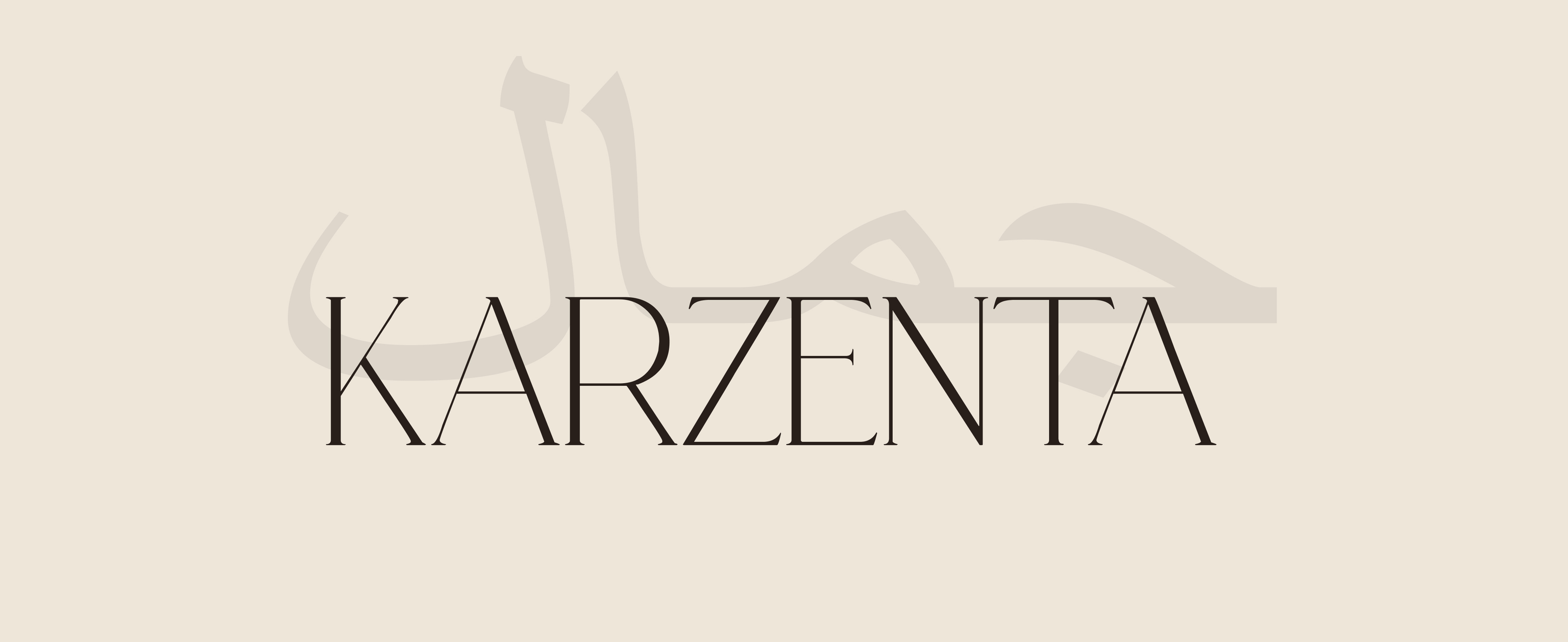Фирменный стиль для бренда KARZENTA — Изображение №4 — Брендинг на Dprofile