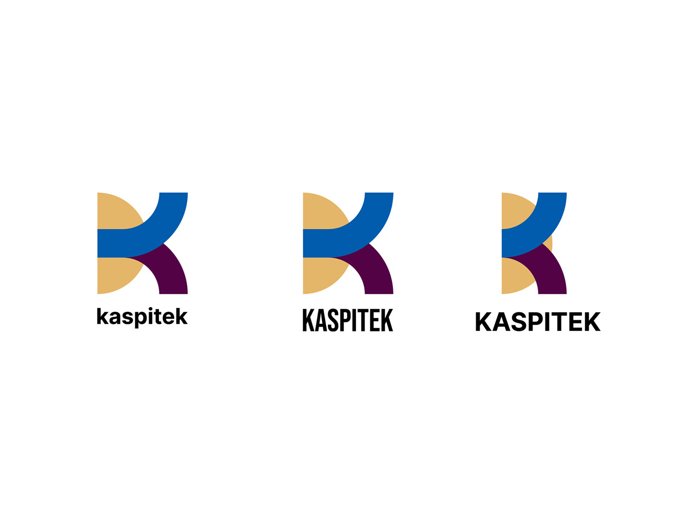 Redesign idently Kaspitek — Изображение №6 — Брендинг на Dprofile