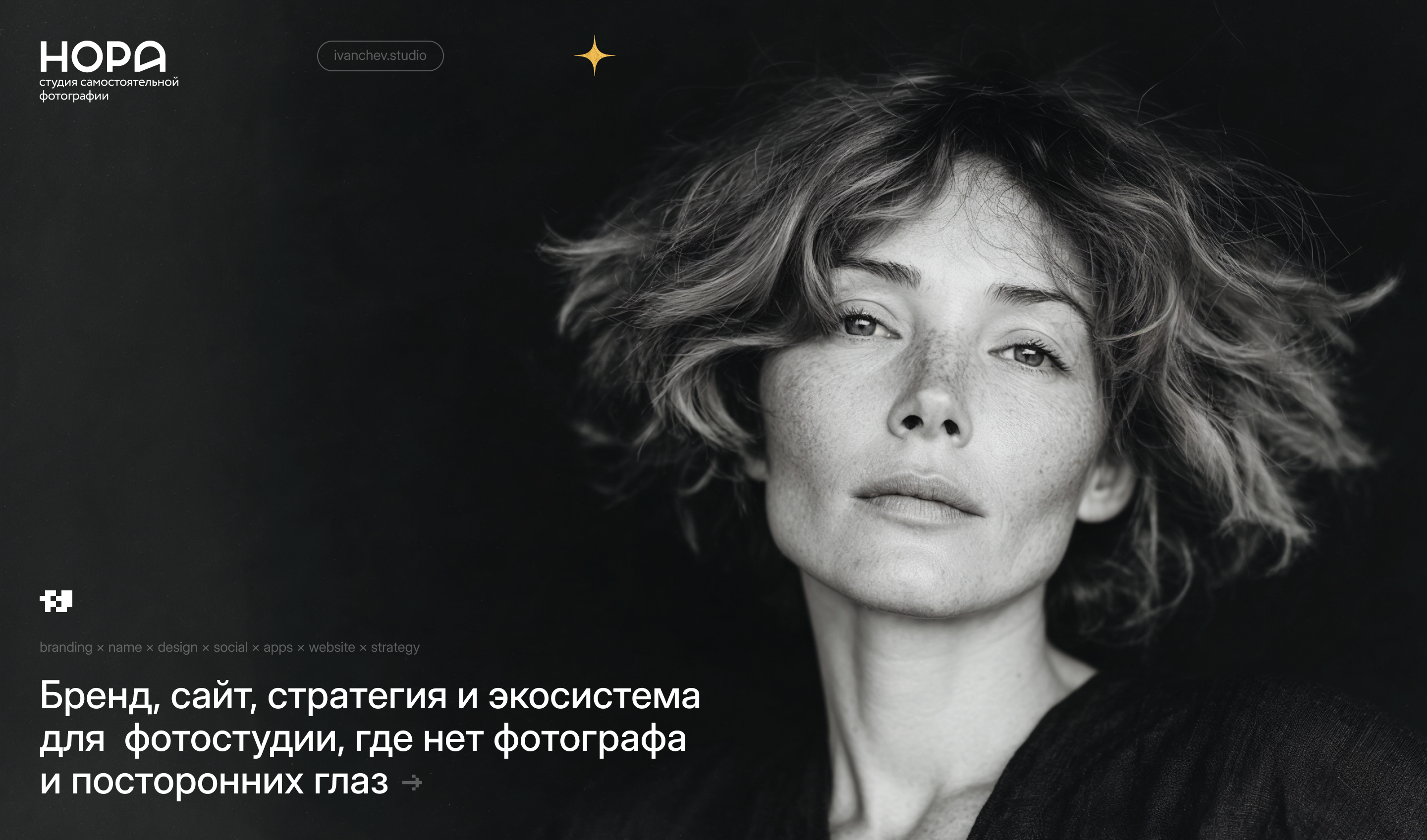 НОРА — комплексный брендинг для фотостудии автопортрета — Изображение №1 — Интерфейсы, Брендинг на Dprofile