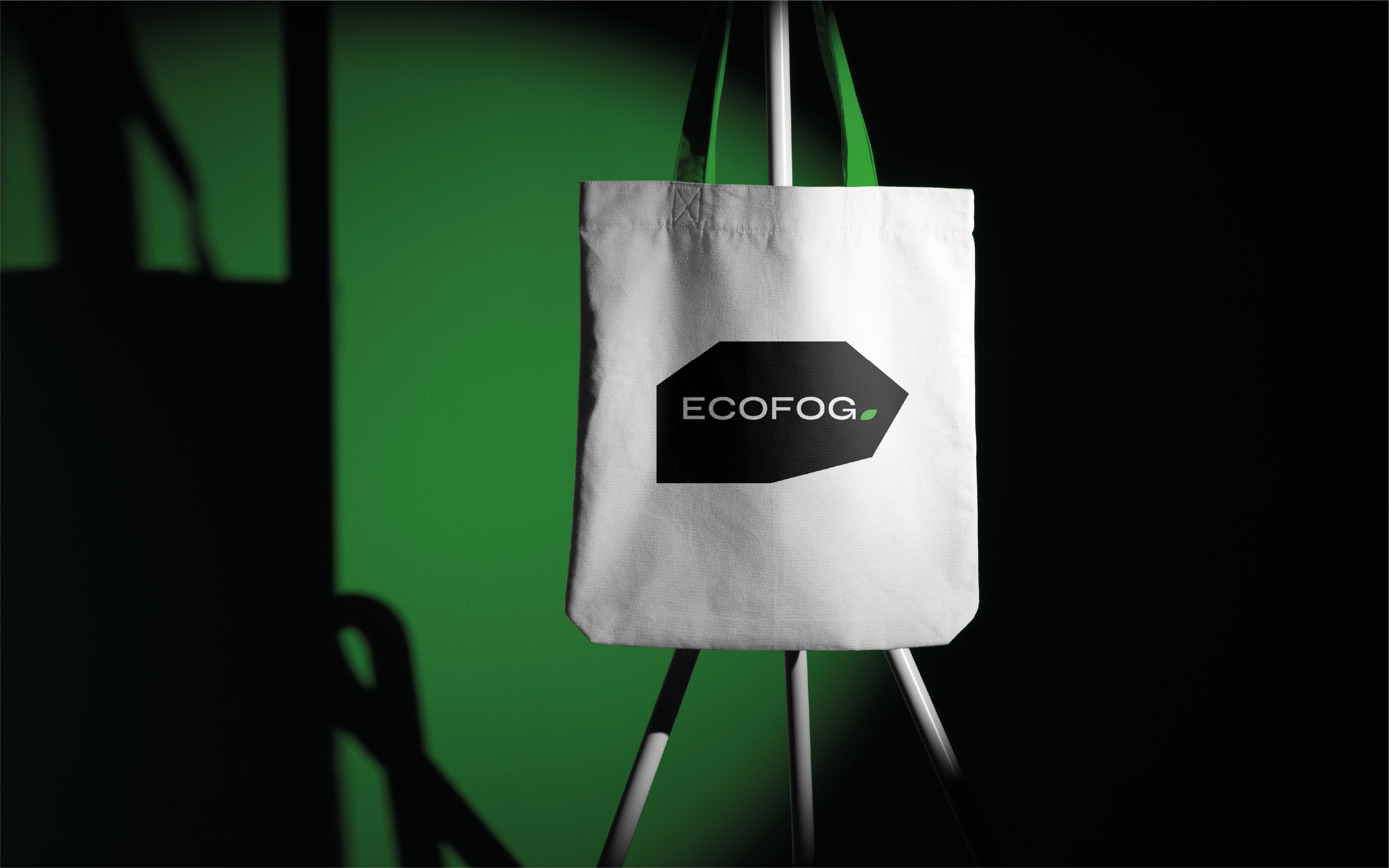 LOGOTYPE ECOFOG — Изображение №1 — Брендинг на Dprofile