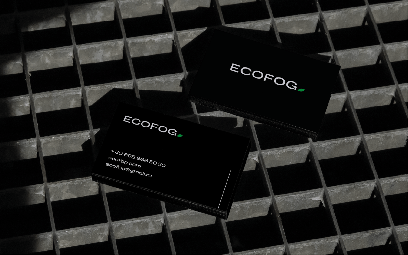 LOGOTYPE ECOFOG — Изображение №7 — Брендинг на Dprofile