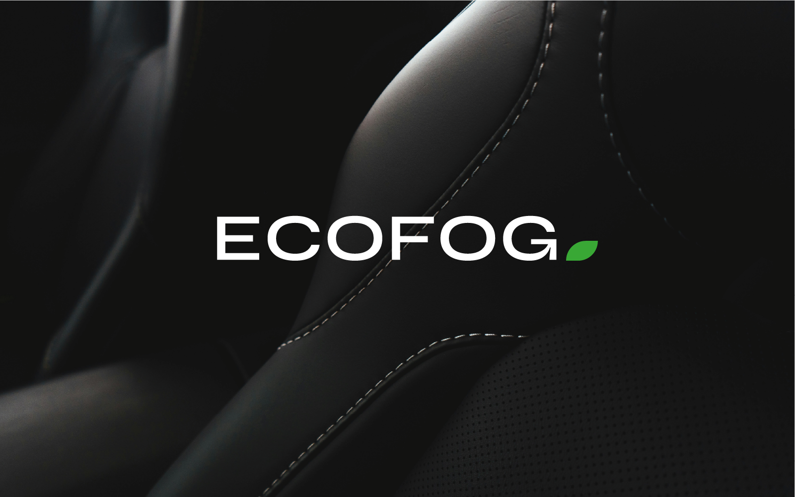 LOGOTYPE ECOFOG — Изображение №3 — Брендинг на Dprofile