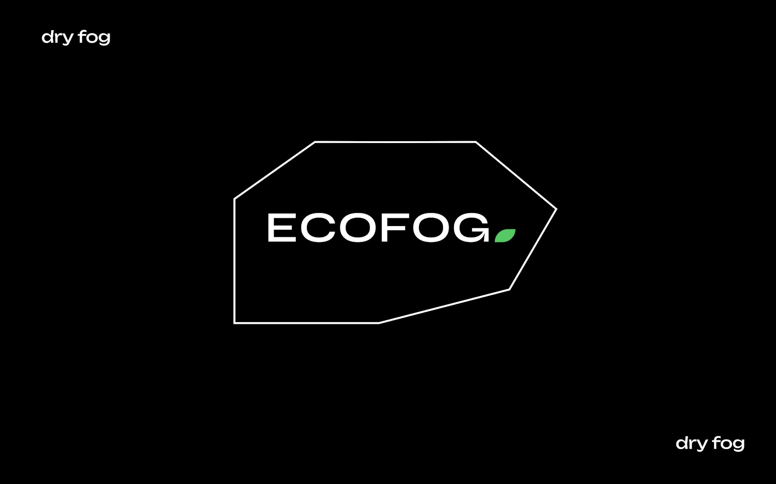 LOGOTYPE ECOFOG — Изображение №2 — Брендинг на Dprofile