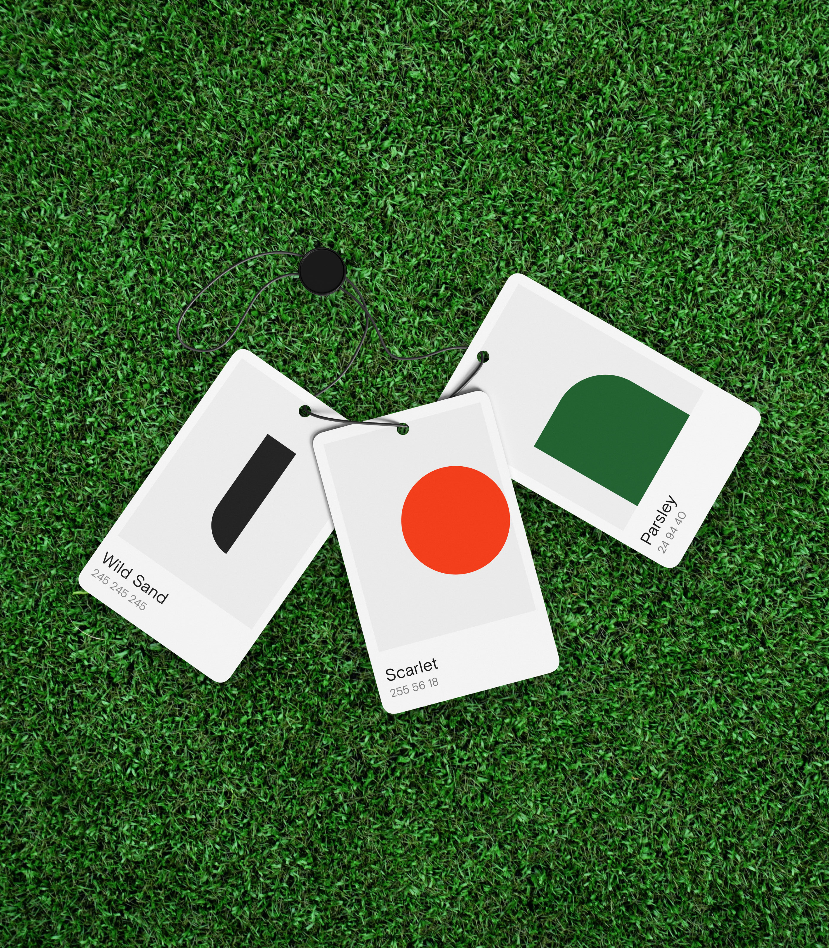 GOOLF — GOLF BRAND — Изображение №7 — Брендинг, Анимация на Dprofile