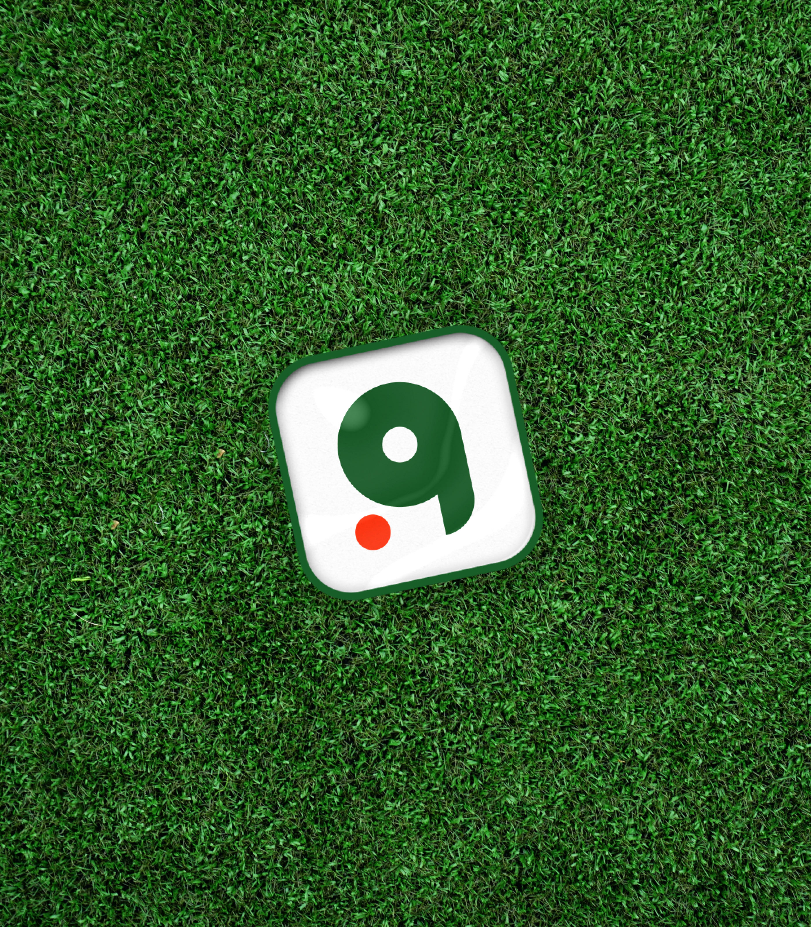 GOOLF — GOLF BRAND — Изображение №15 — Брендинг, Анимация на Dprofile