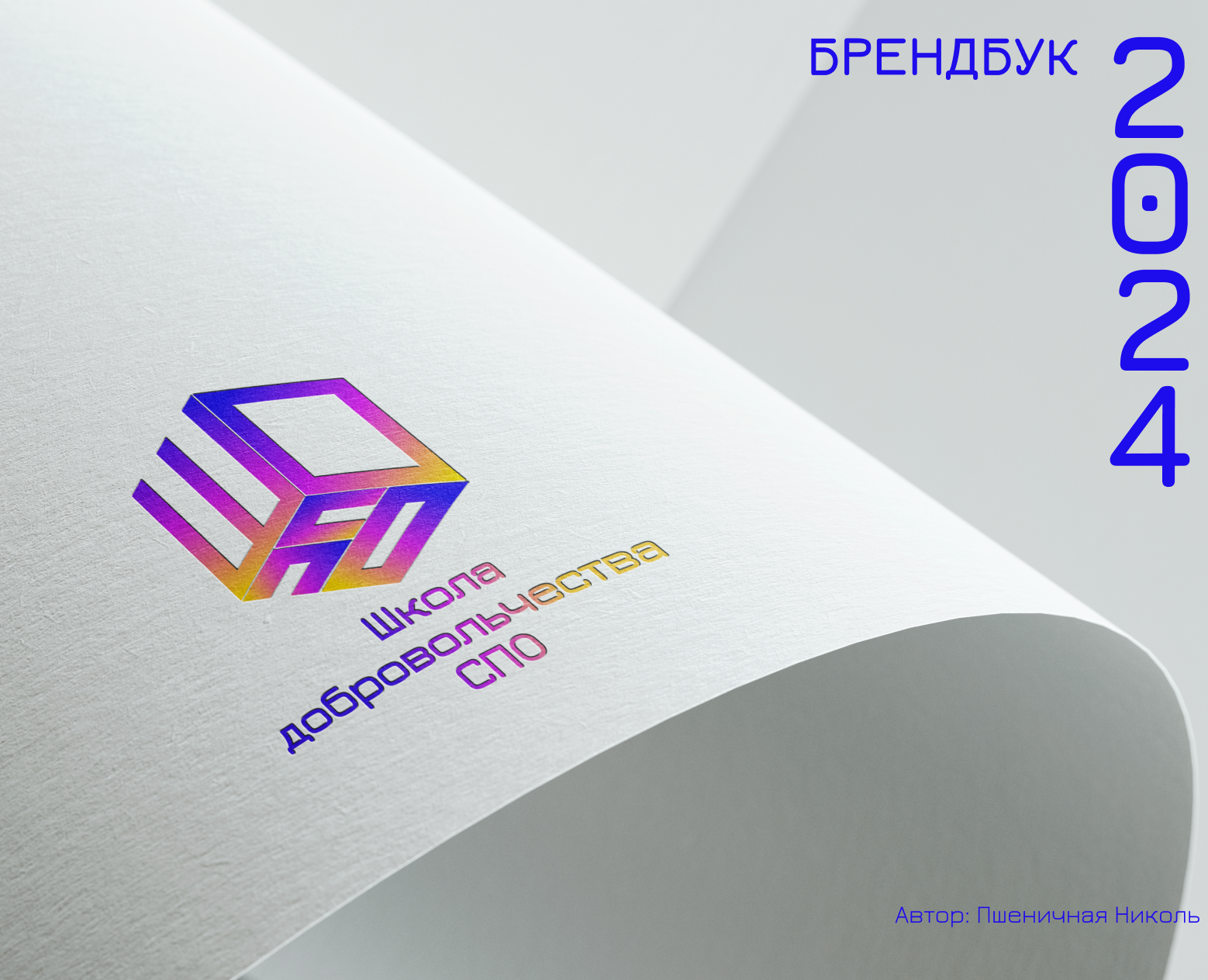 Школа добровольчества СПО — Брендинг на Dprofile