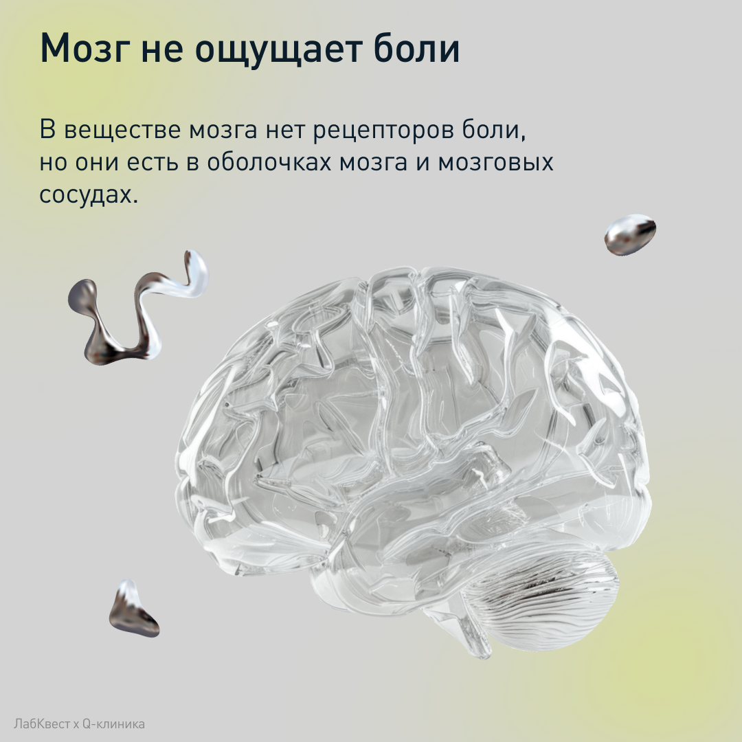 Labquest | Коммуникационный дизайн — Изображение №31 — Графика, Маркетинг на Dprofile