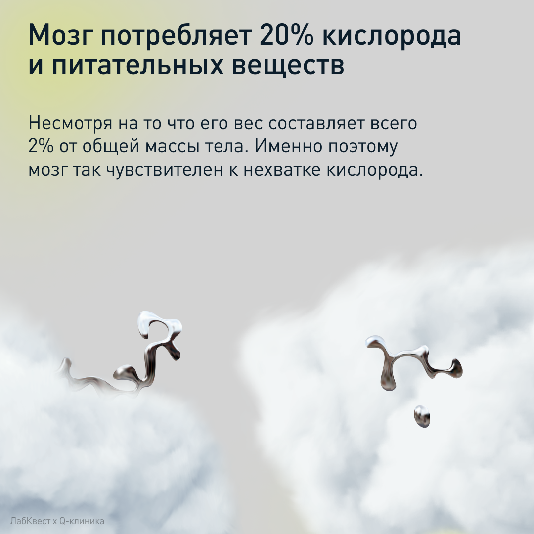 Labquest | Коммуникационный дизайн — Изображение №30 — Графика, Маркетинг на Dprofile