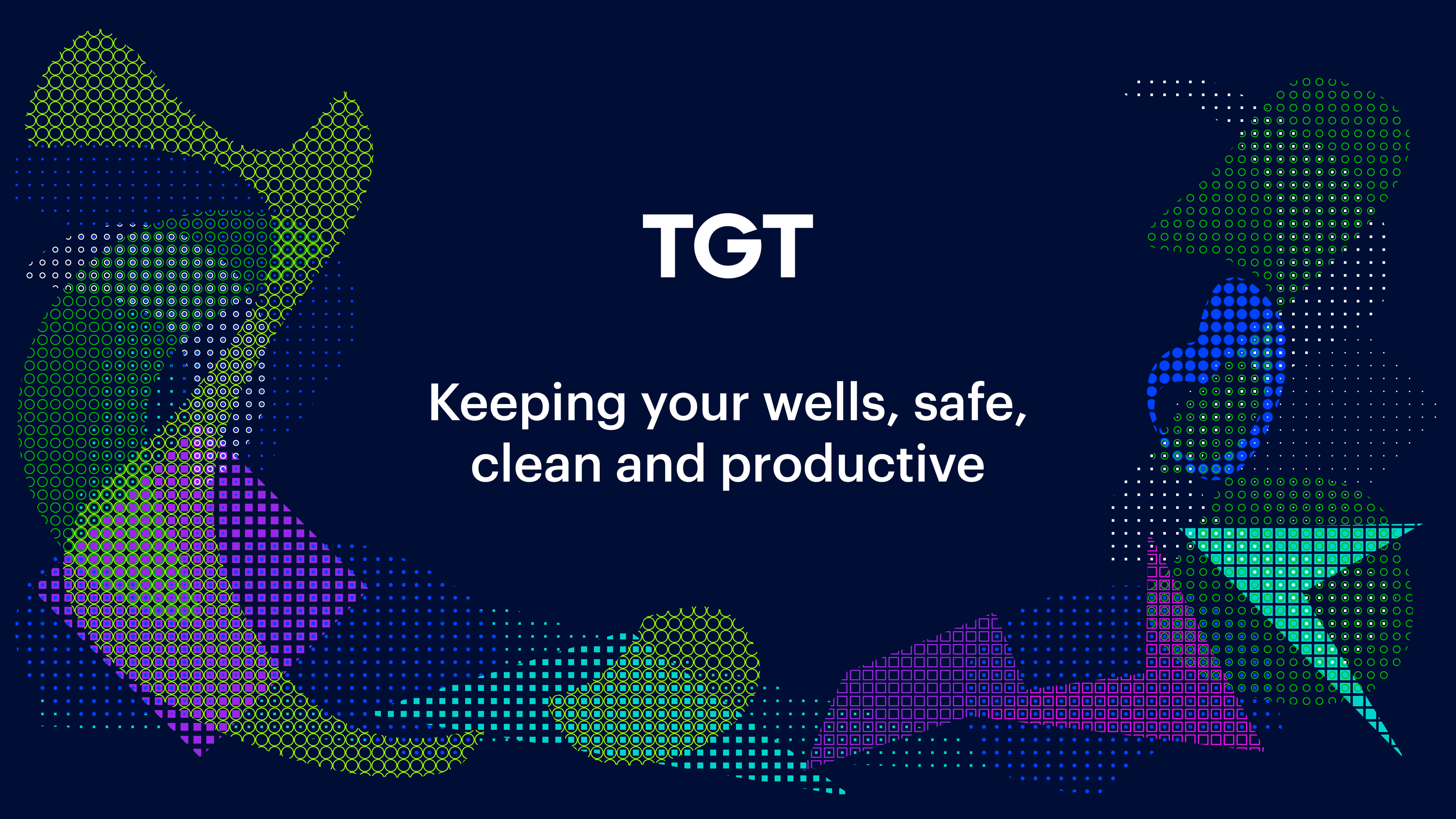 TGT Diagnostics: Brand Identity — Изображение №1 — Брендинг, Графика на Dprofile