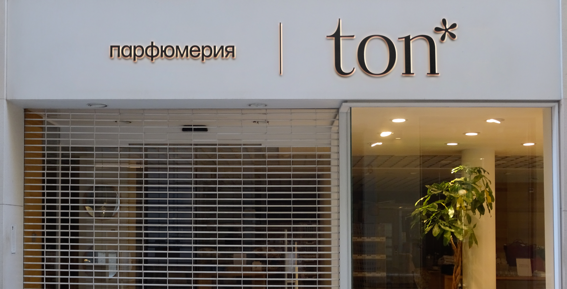 ton // brand identy — Изображение №4 — Интерфейсы, Брендинг на Dprofile