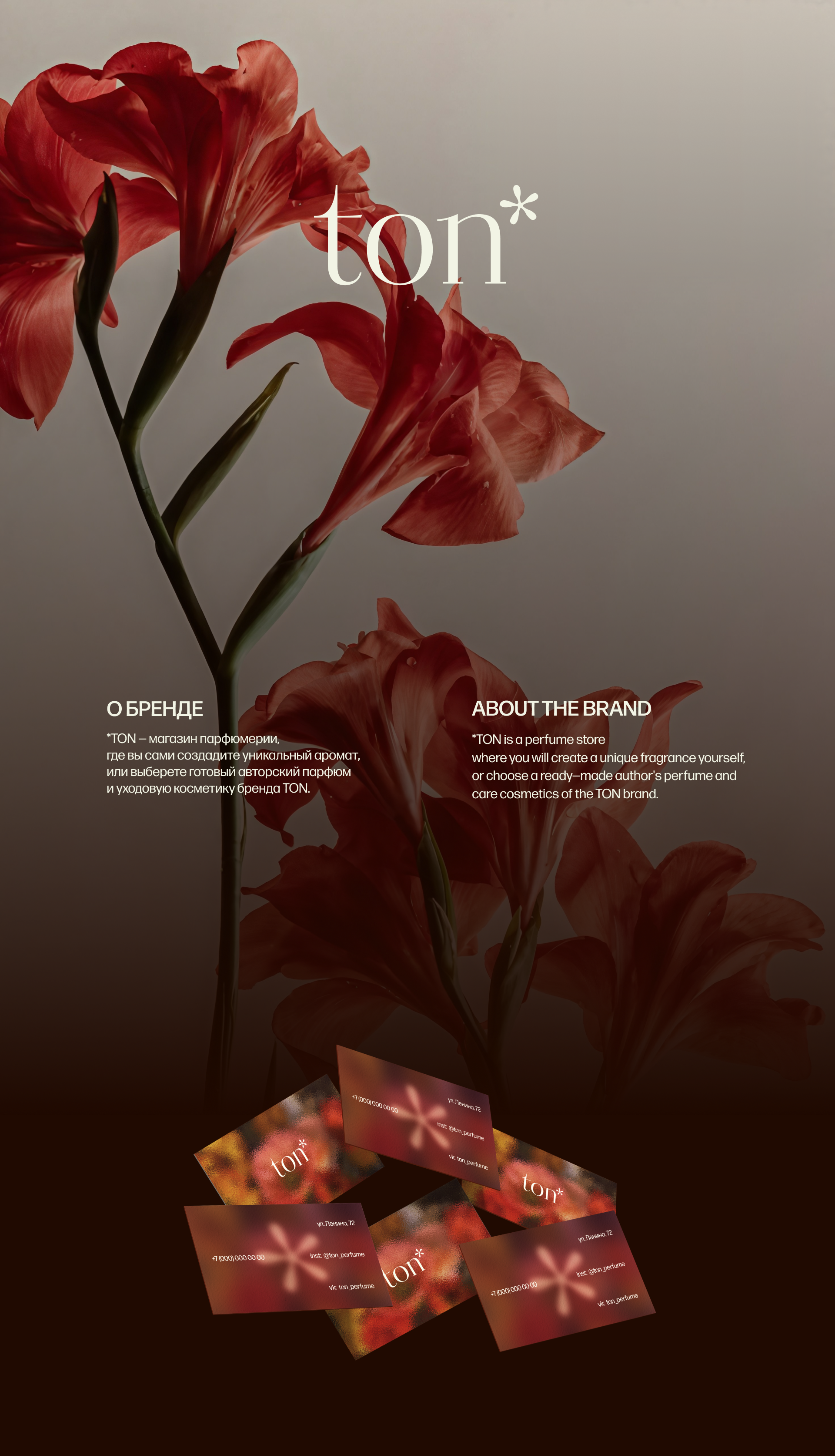 ton // brand identy — Изображение №1 — Интерфейсы, Брендинг на Dprofile