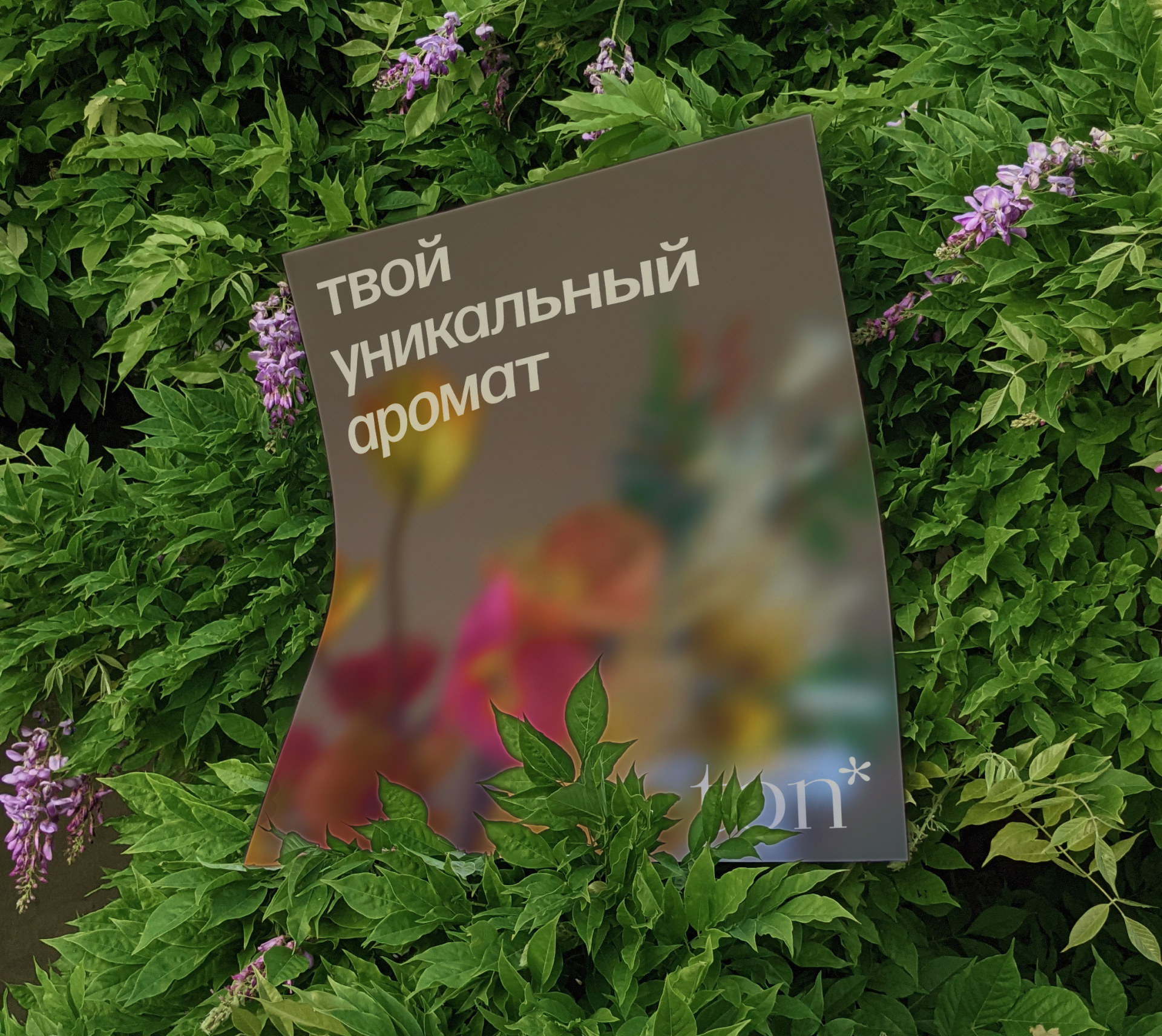 ton // brand identy — Изображение №13 — Интерфейсы, Брендинг на Dprofile