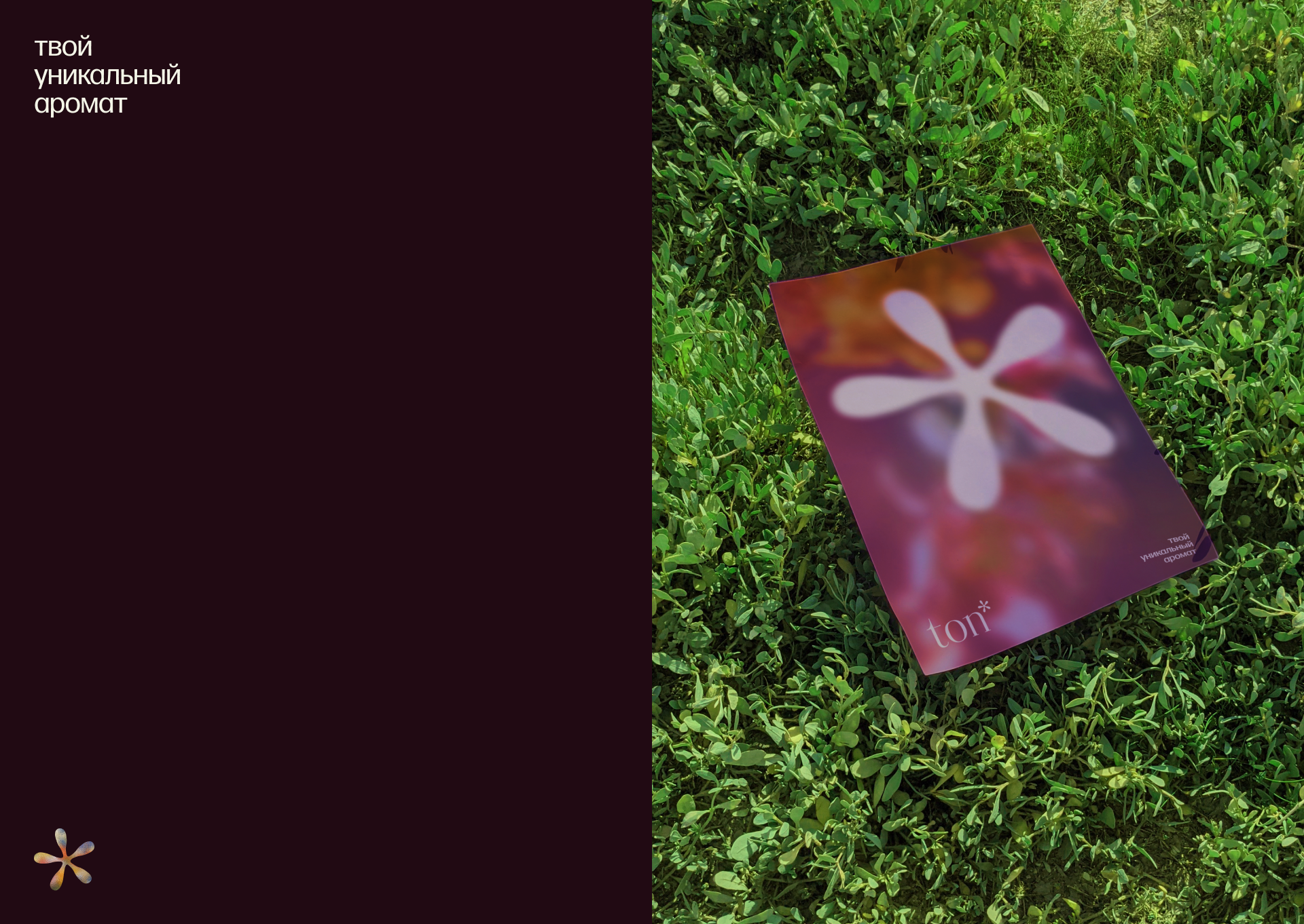 ton // brand identy — Изображение №9 — Интерфейсы, Брендинг на Dprofile