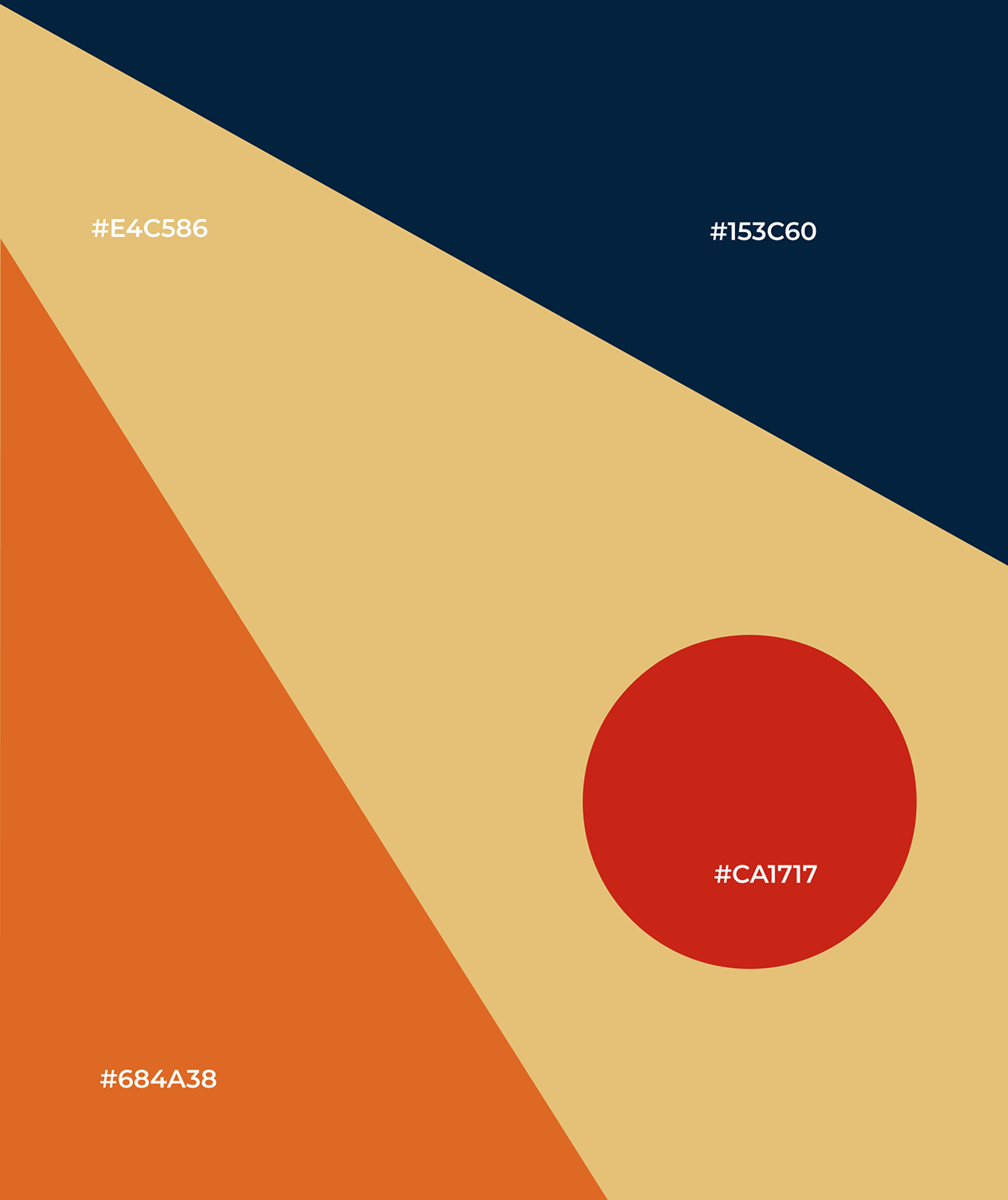 VIA brand identity — Изображение №7 — Брендинг, Графика на Dprofile