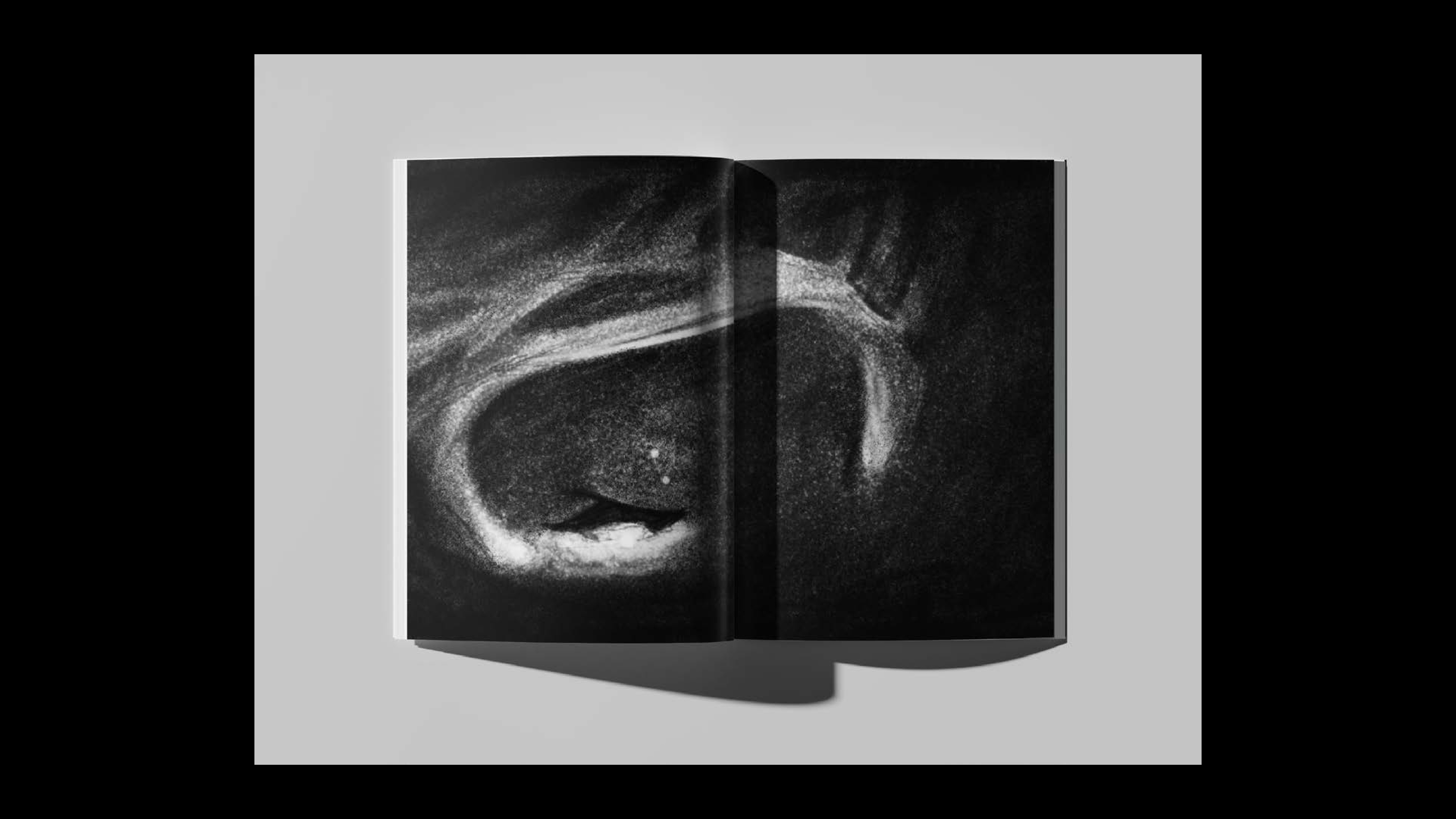 "День зажигания маяка" проект книжки-картинки — Изображение №6 — Иллюстрация на Dprofile