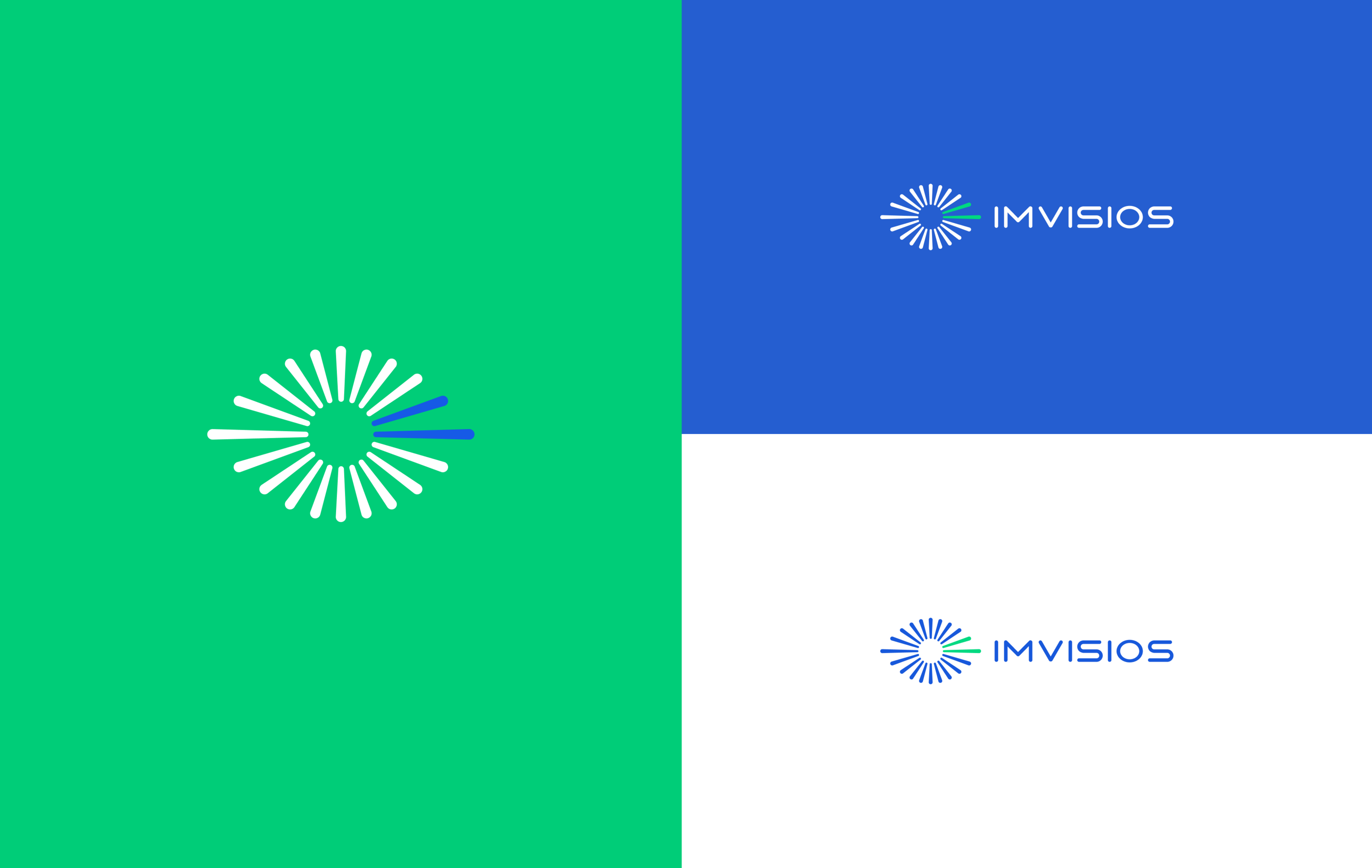 Brand Identity. Driver status monitoring systems — Изображение №3 — Брендинг на Dprofile