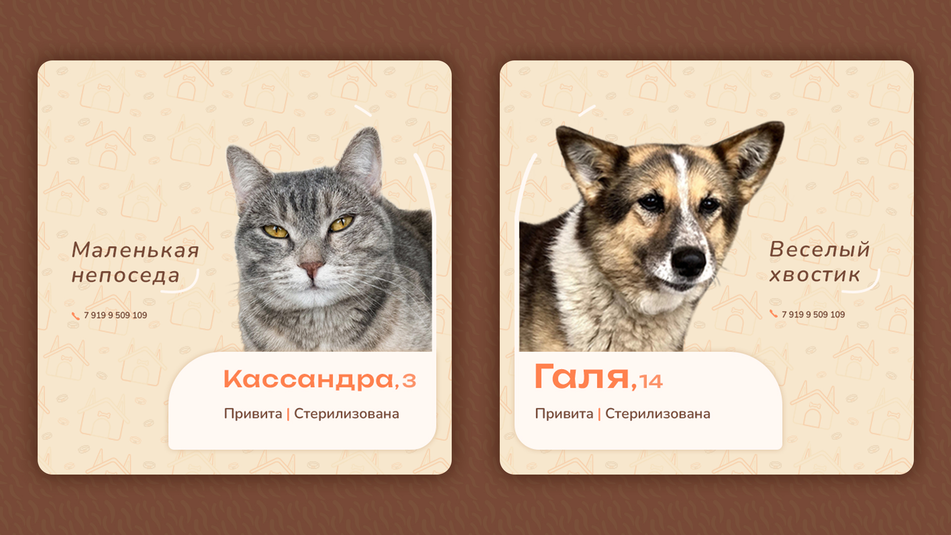 Сorporate identity animal shelter — Изображение №4 — Брендинг на Dprofile